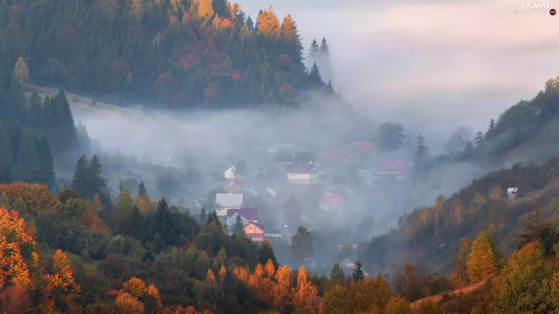 Houses, autumn, trees, viewes, Fog, Valley
