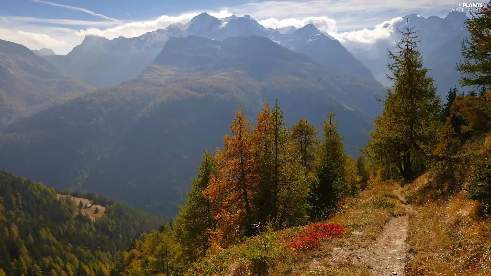 Mountains, forest, VEGETATION, trees, Path, clouds, Sky, viewes