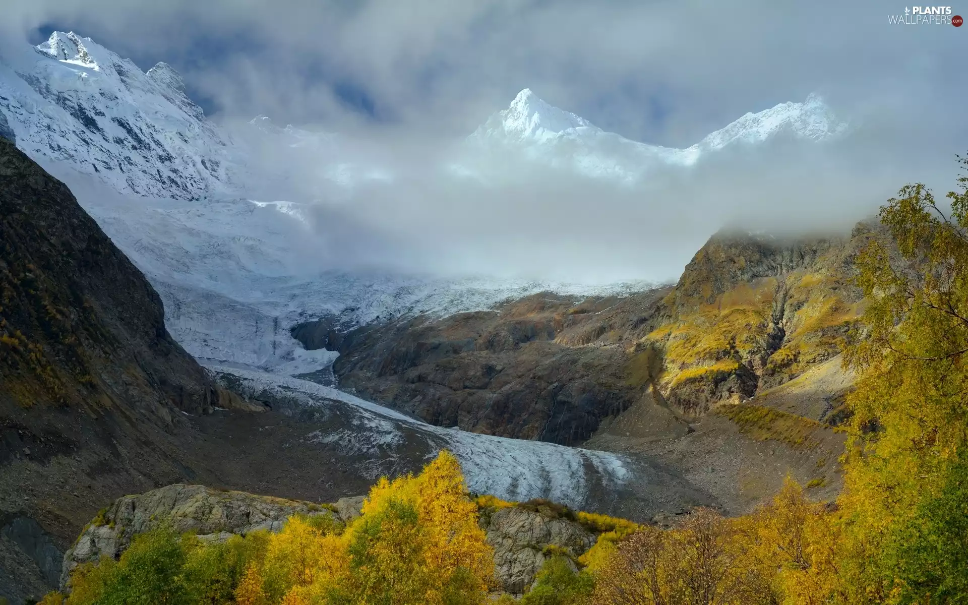 clouds, Mountains, trees, viewes, snow, vertices