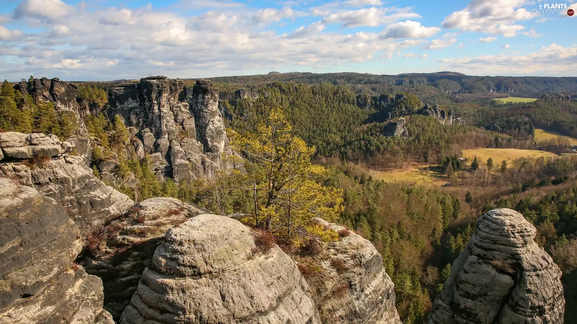 viewes, Rock Formation, Saxon Switzerland, trees, rocks, Děčínská vrchovina, Germany