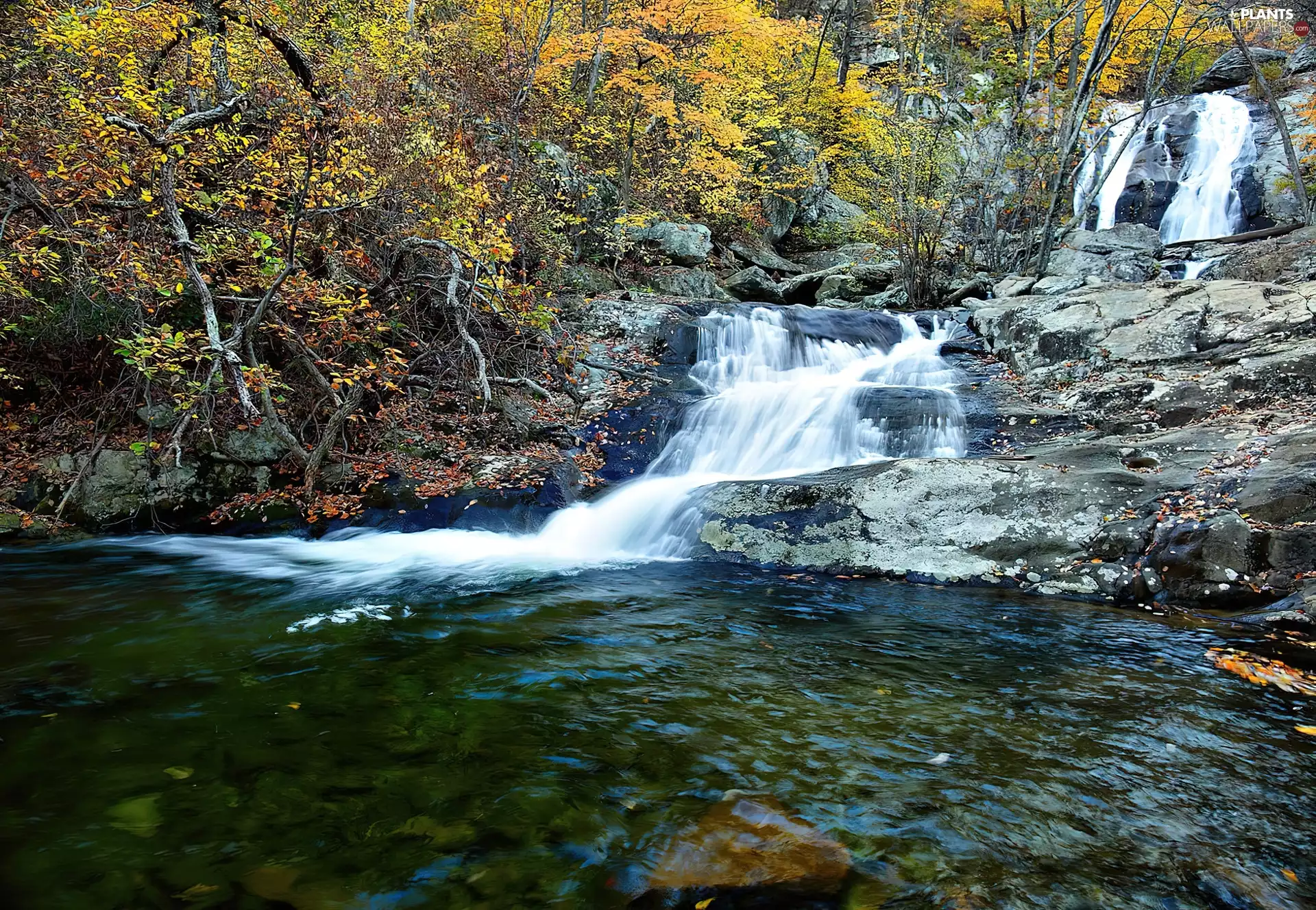trees, viewes, waterfall, River, autumn