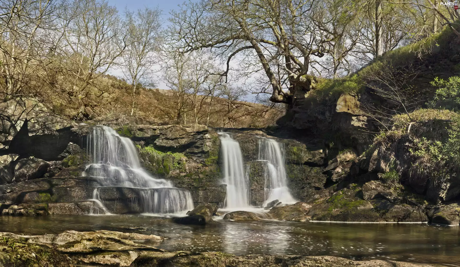 trees, viewes, waterfall, rocks, River