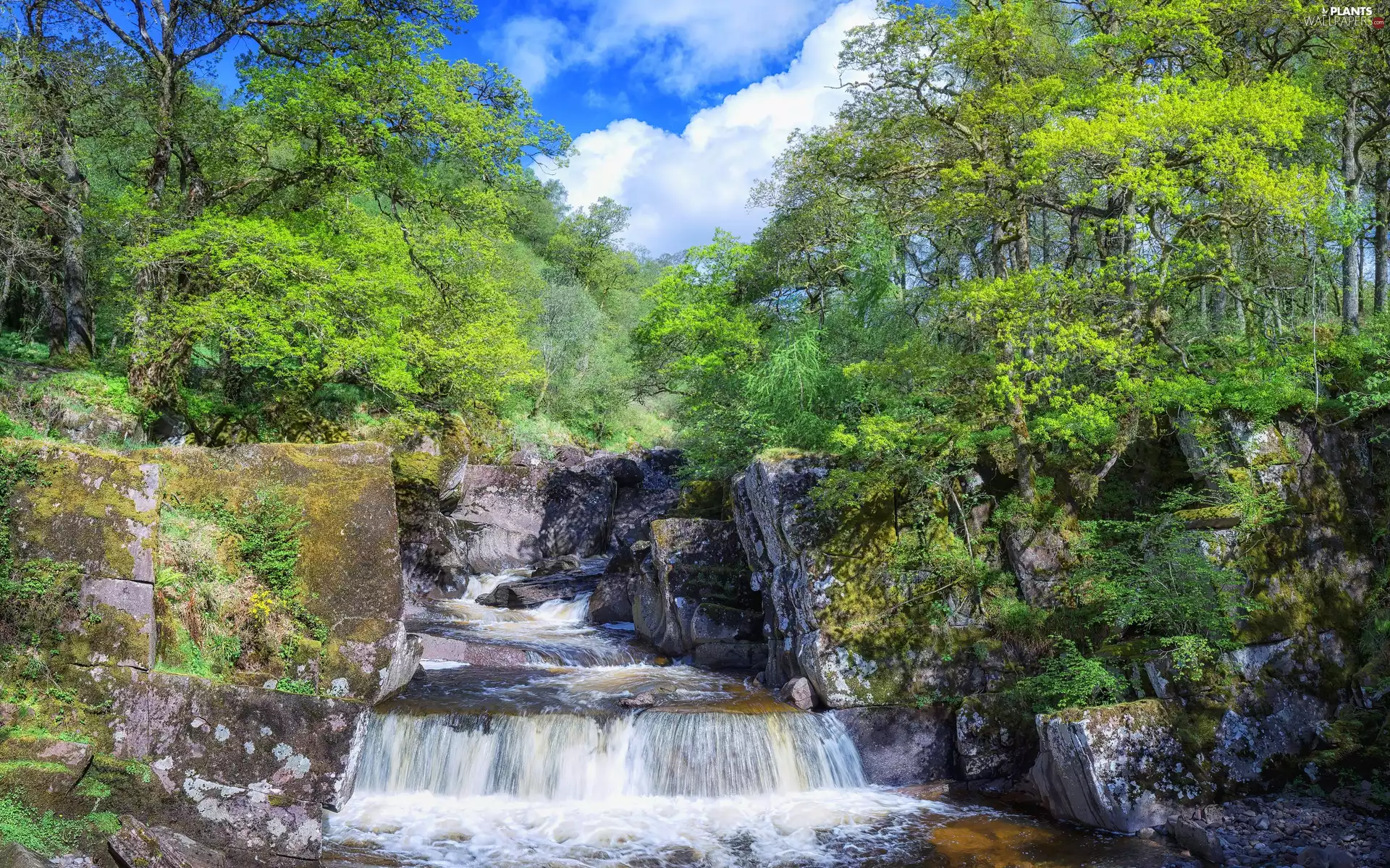 trees, viewes, waterfall, rocks, summer