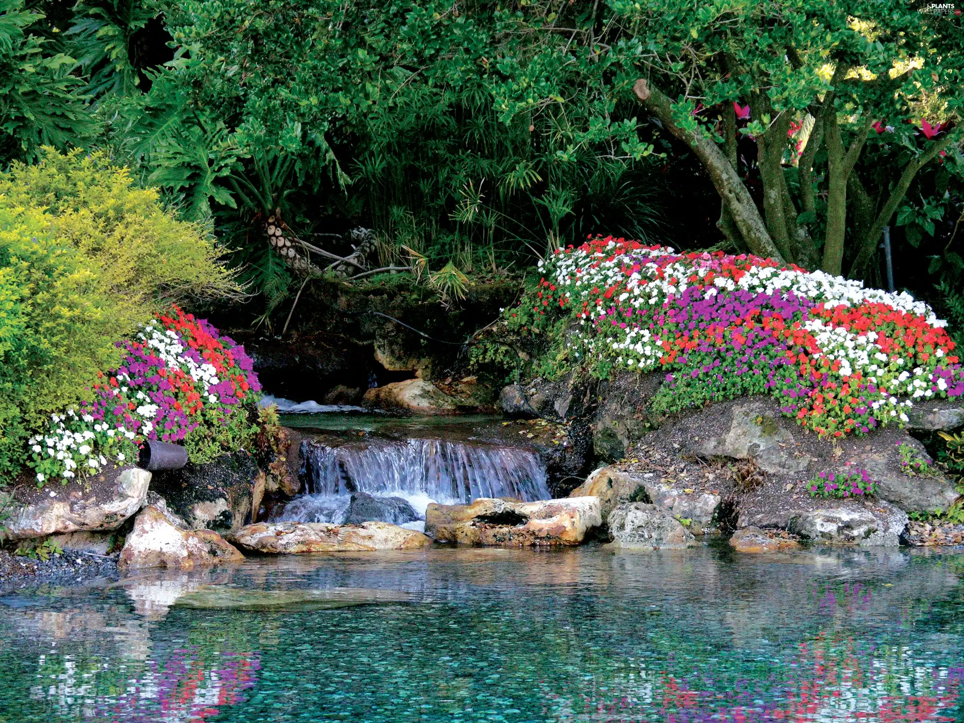 waterfall, trees, viewes, Flowers