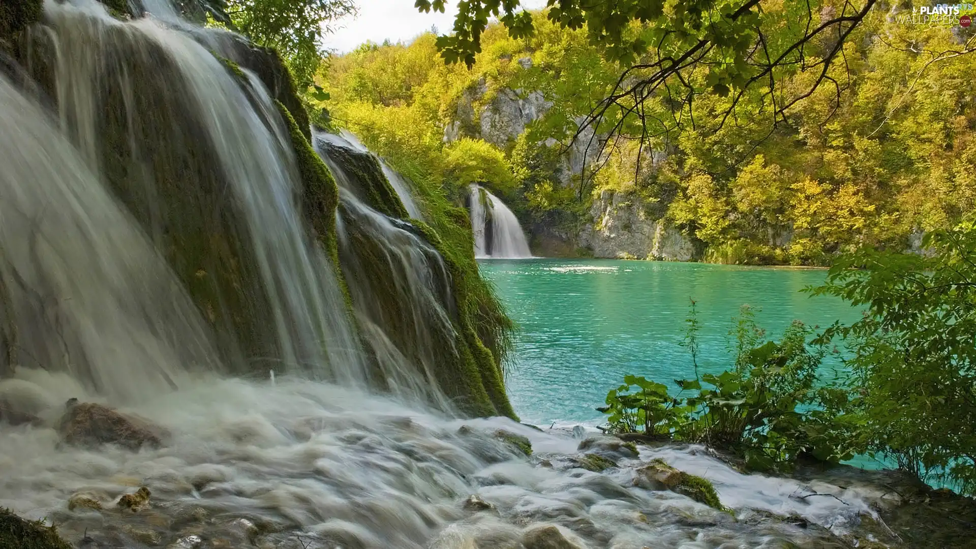 waterfall, trees, viewes, lake