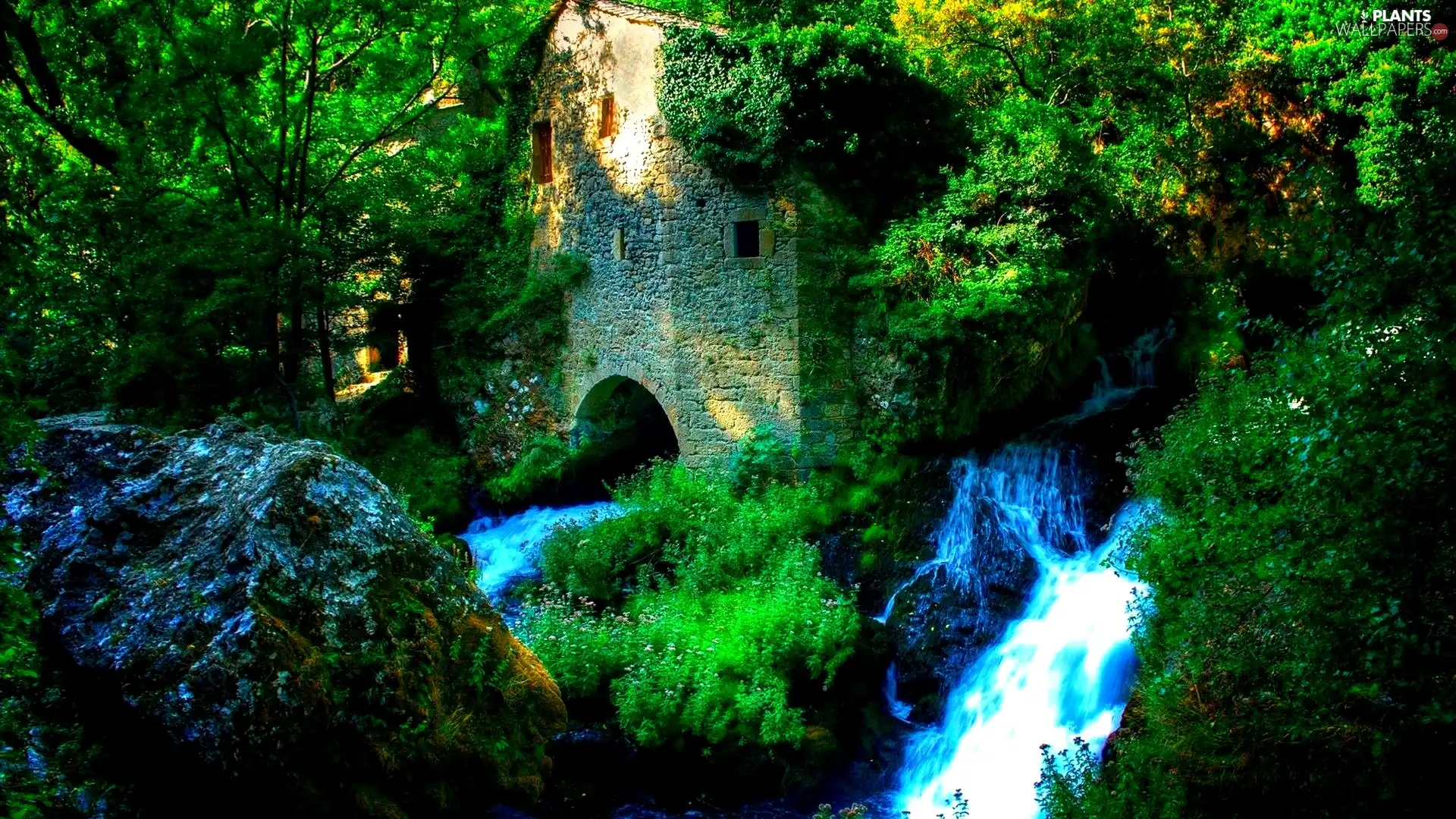 waterfall, trees, viewes, ruins