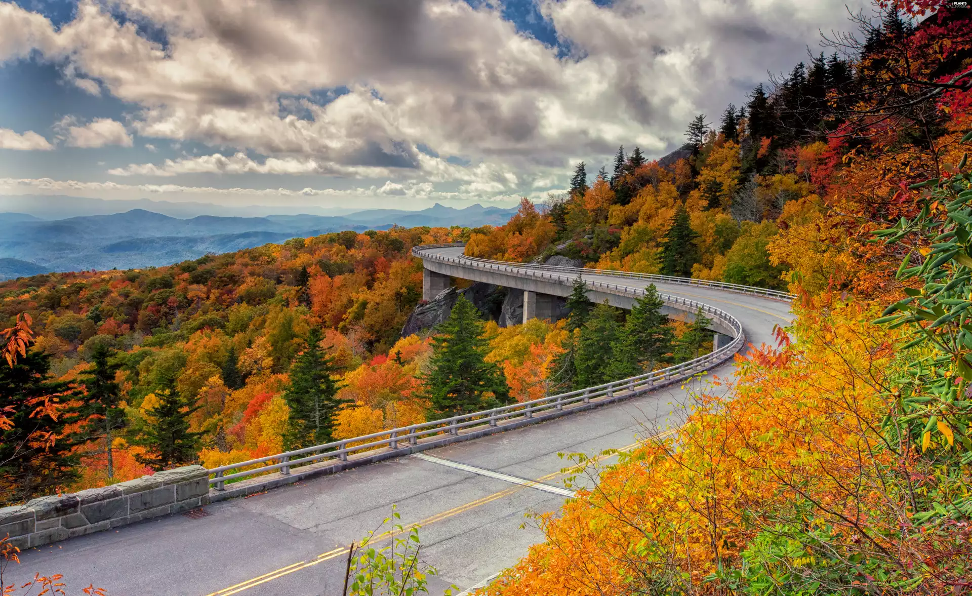 trees, viewes, Way, turn, autumn