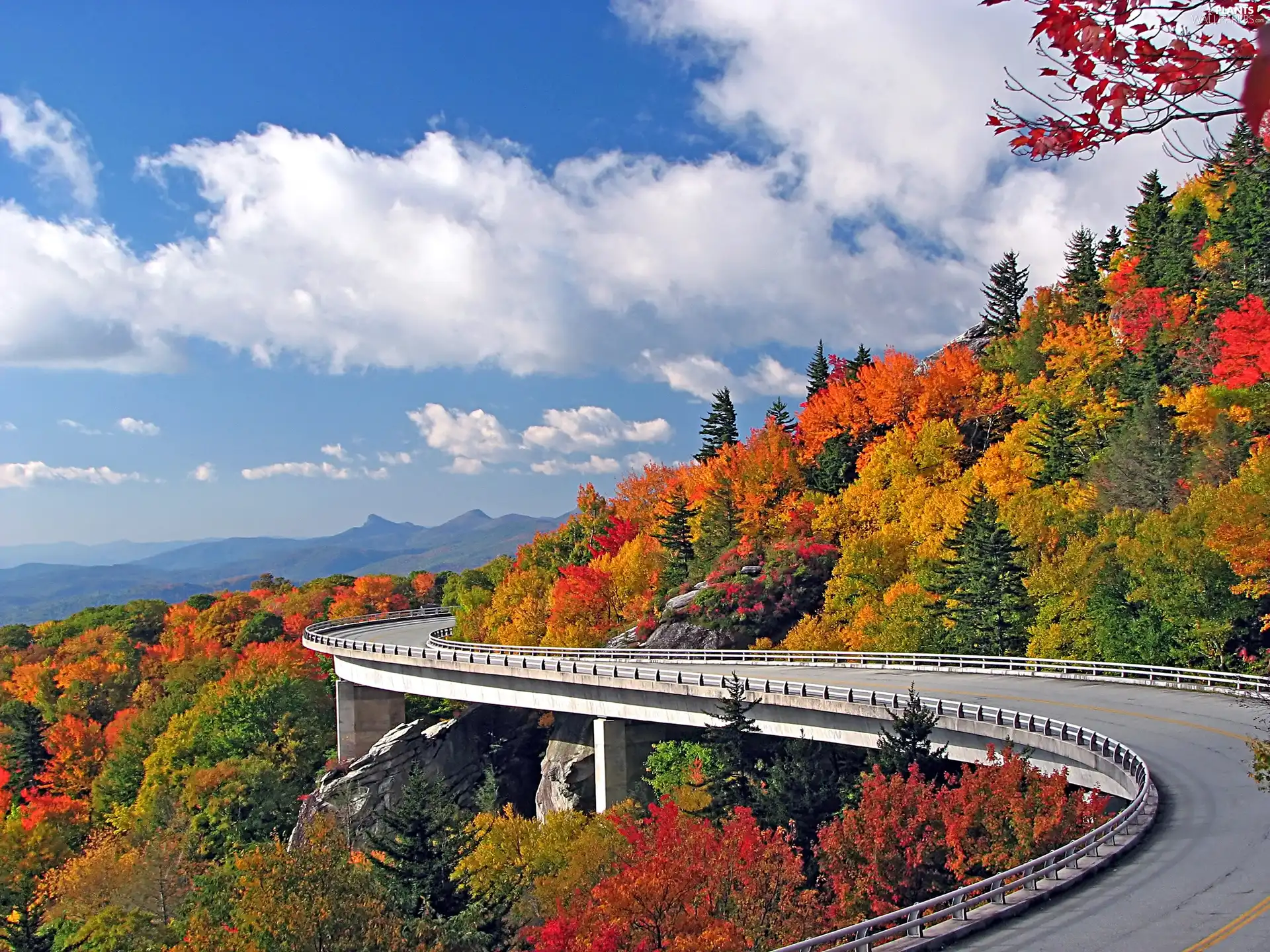 viewes, Way, color, trees, Mountains