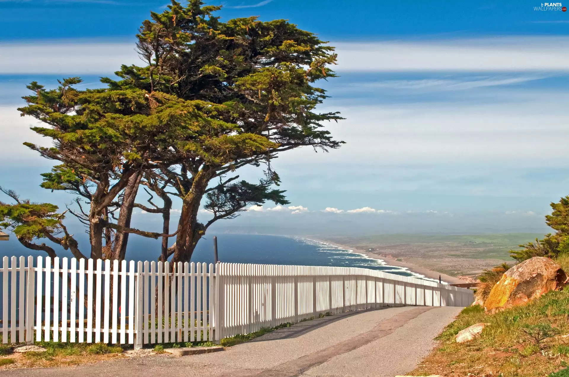 trees, viewes, Way, Fance, sea