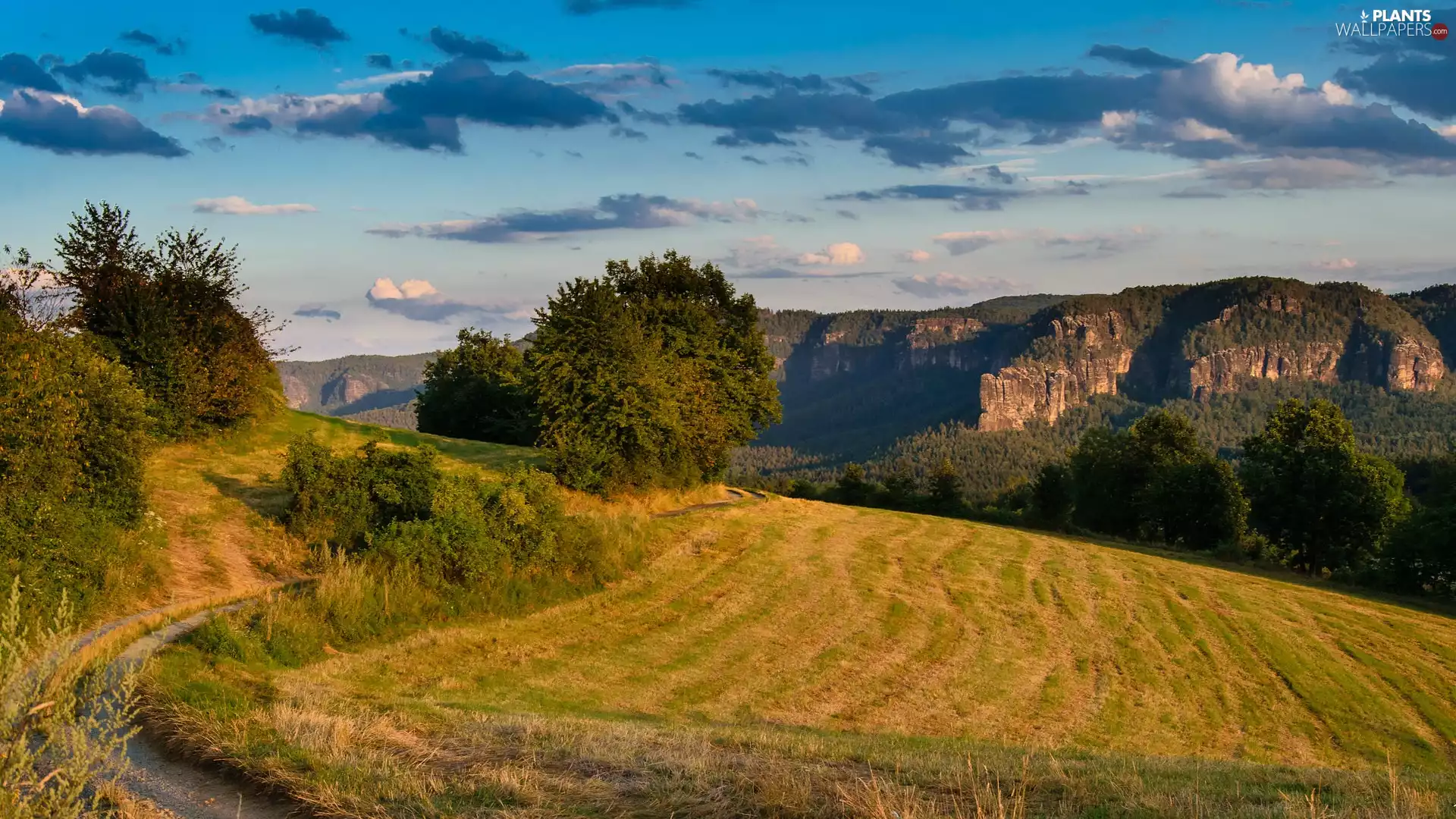 Mountains, Field, trees, viewes, rocks, Way