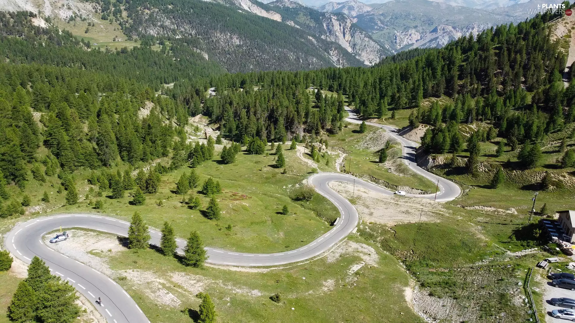 trees, viewes, Way, Mountains, winding