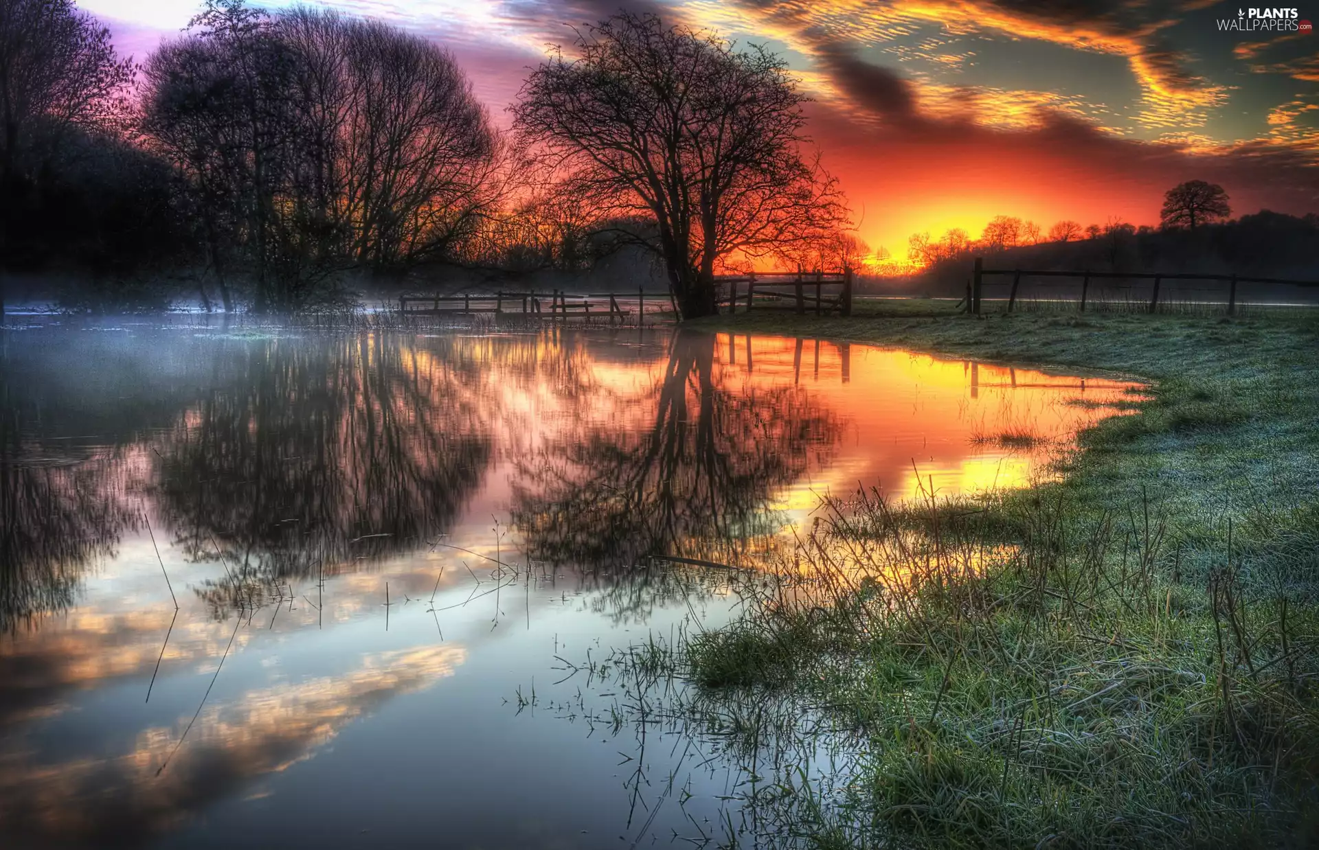 medows, trees, west, viewes, River, clouds, sun