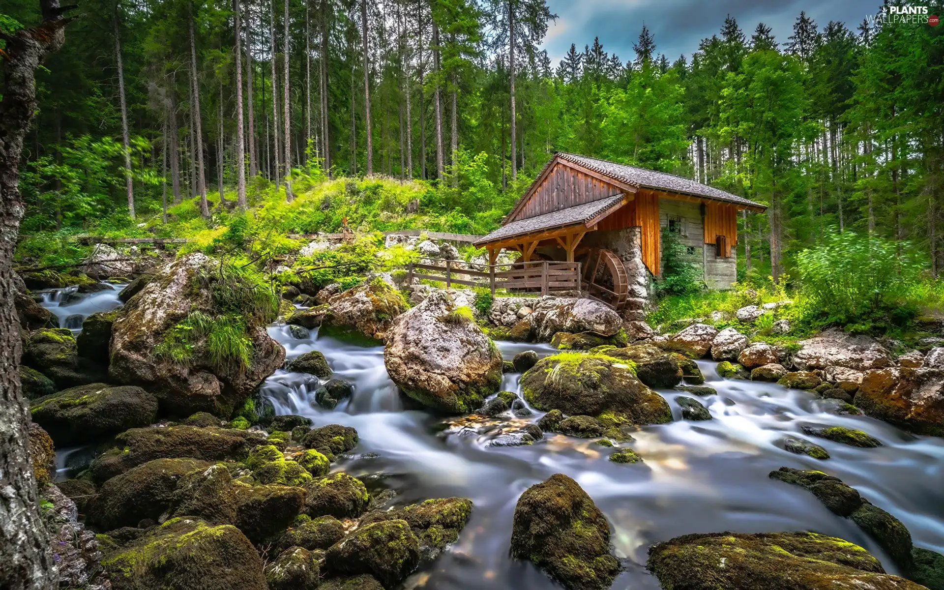 stream, flux, Windmill, trees, forest, Stones, mossy, viewes