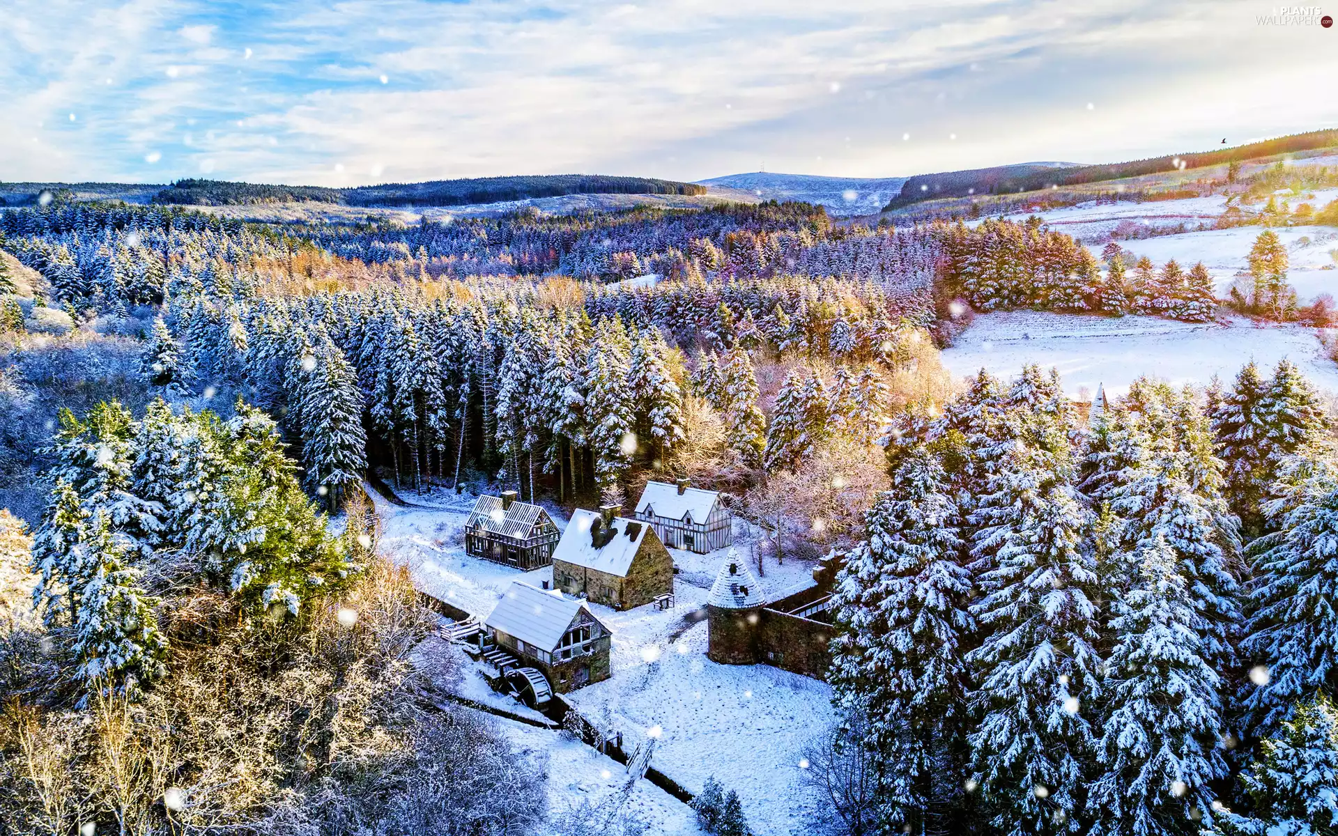 forest, trees, Windmill, viewes, Houses, snow, winter