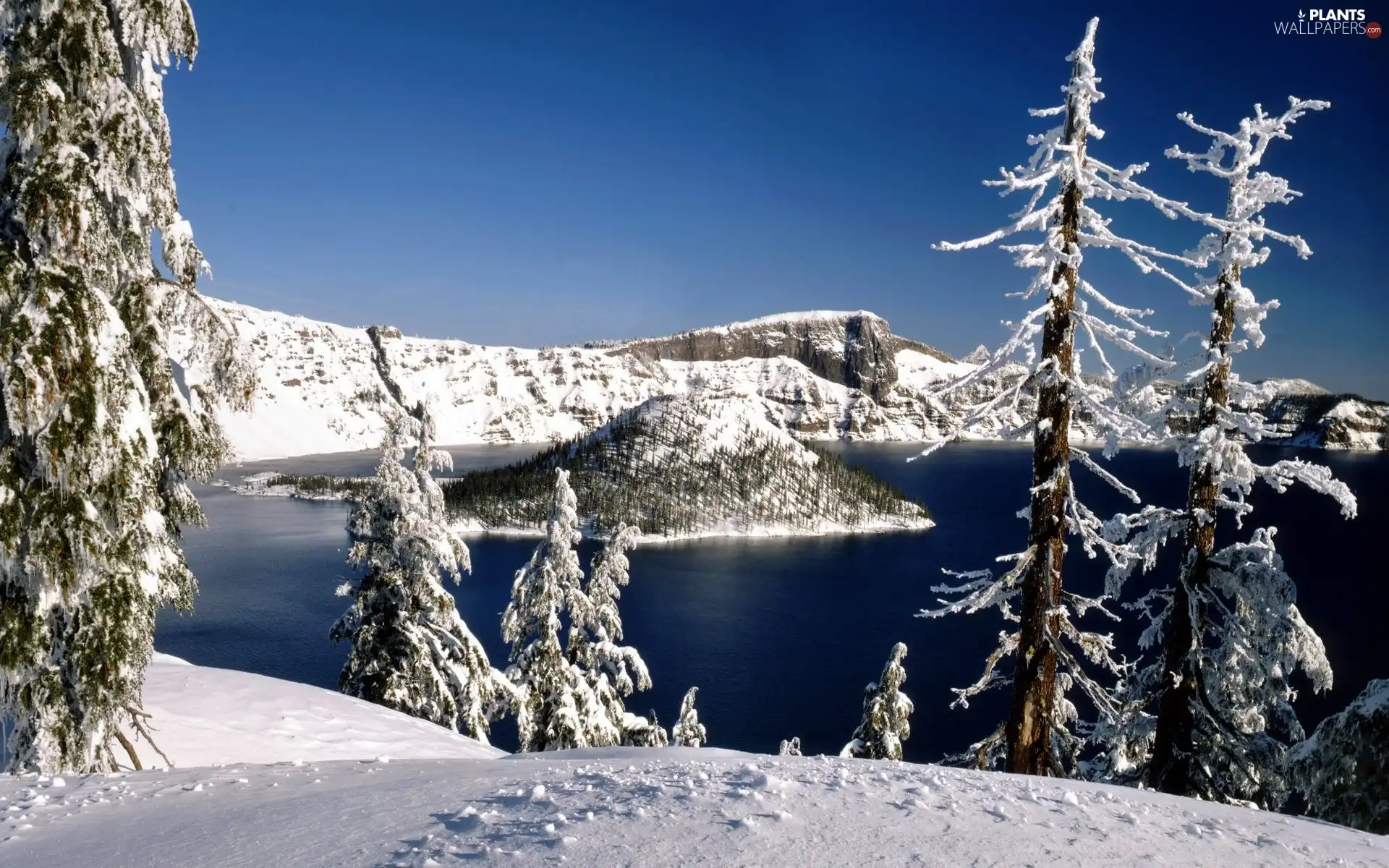 viewes, winter, lake, trees, Mountains