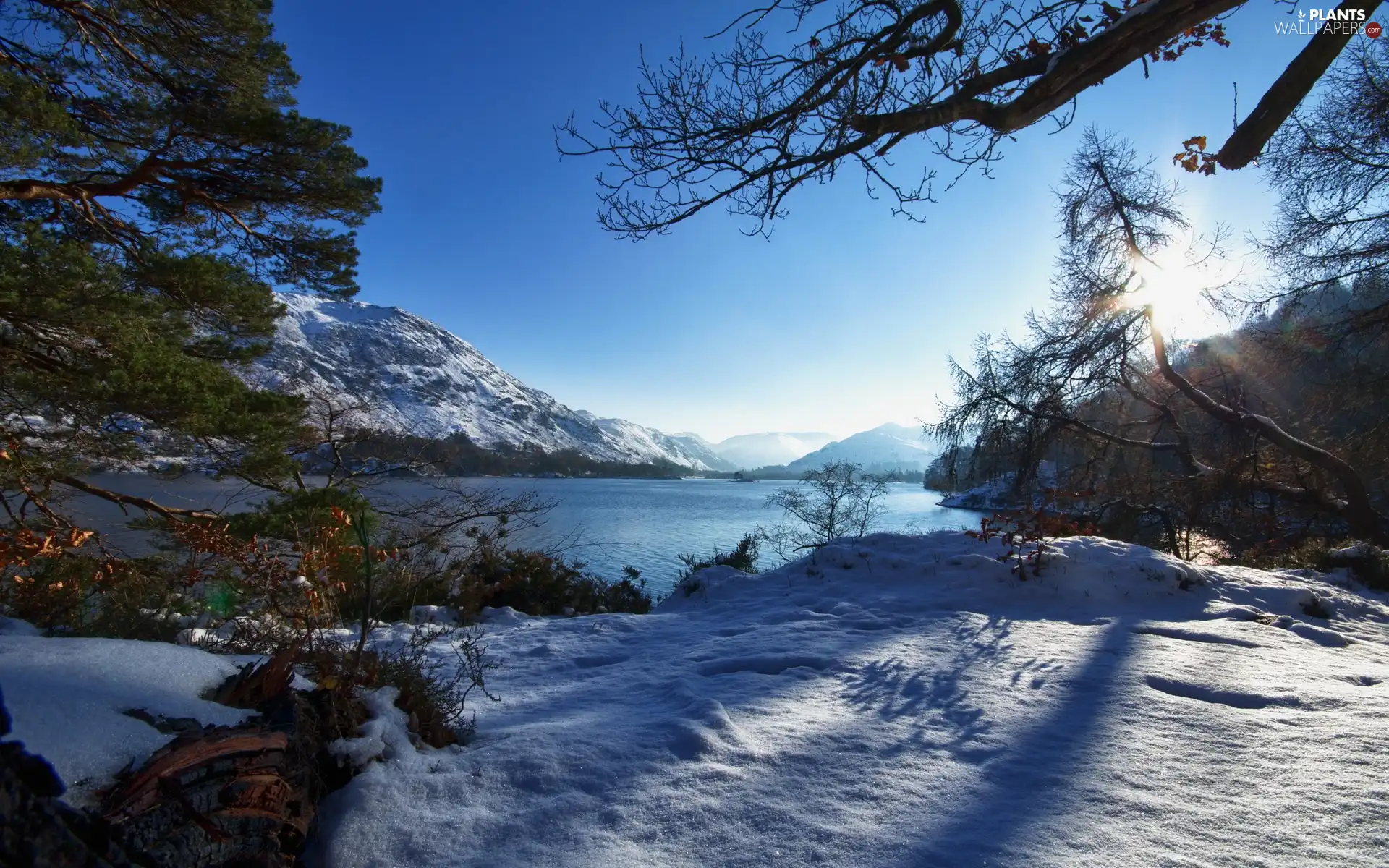 viewes, winter, Mountains, trees, River