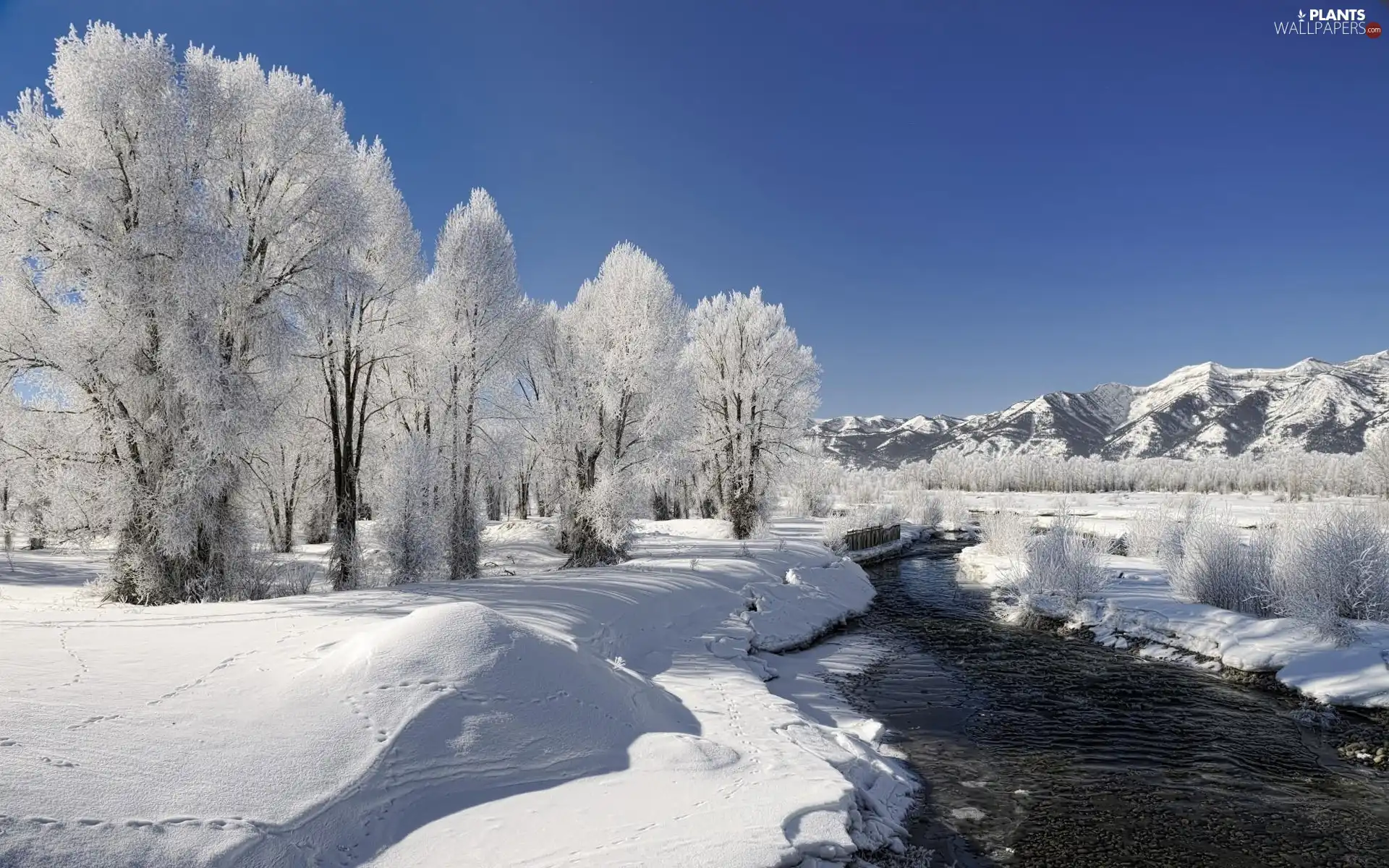 viewes, winter, Mountains, trees, River