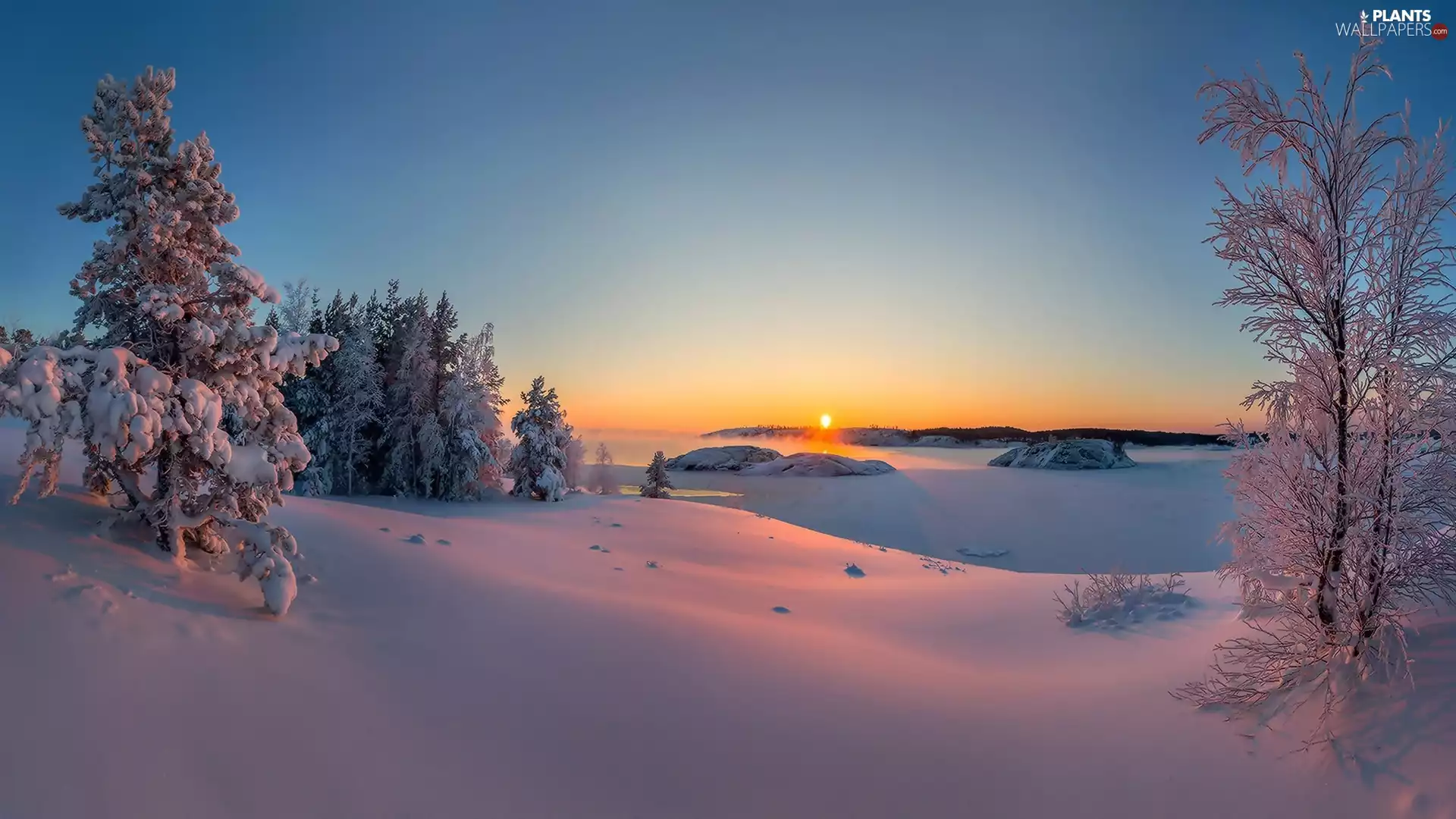 trees, viewes, winter, Sunrise, snow