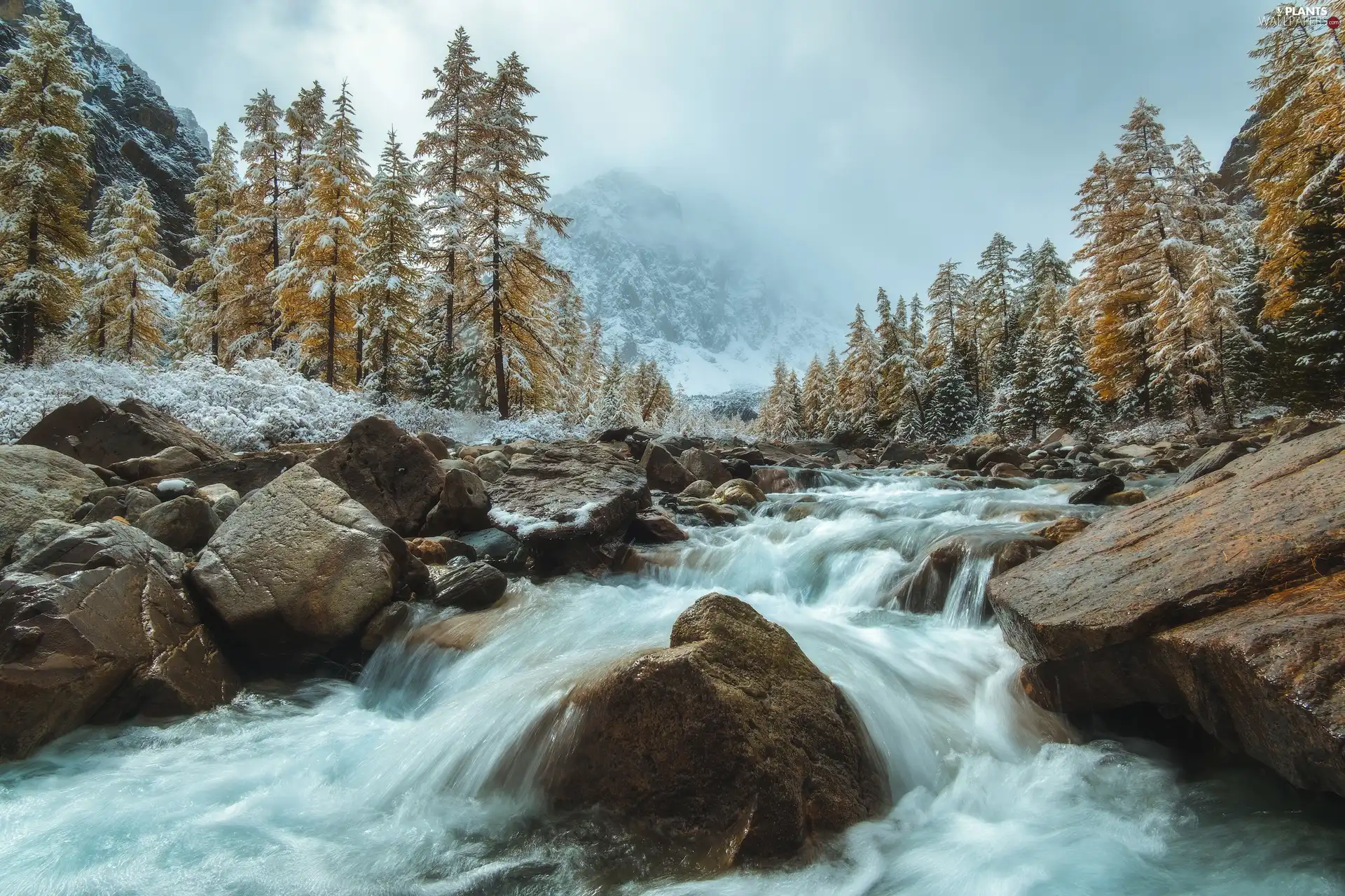 forest, Stones, winter, trees, clouds, Mountains, River, viewes