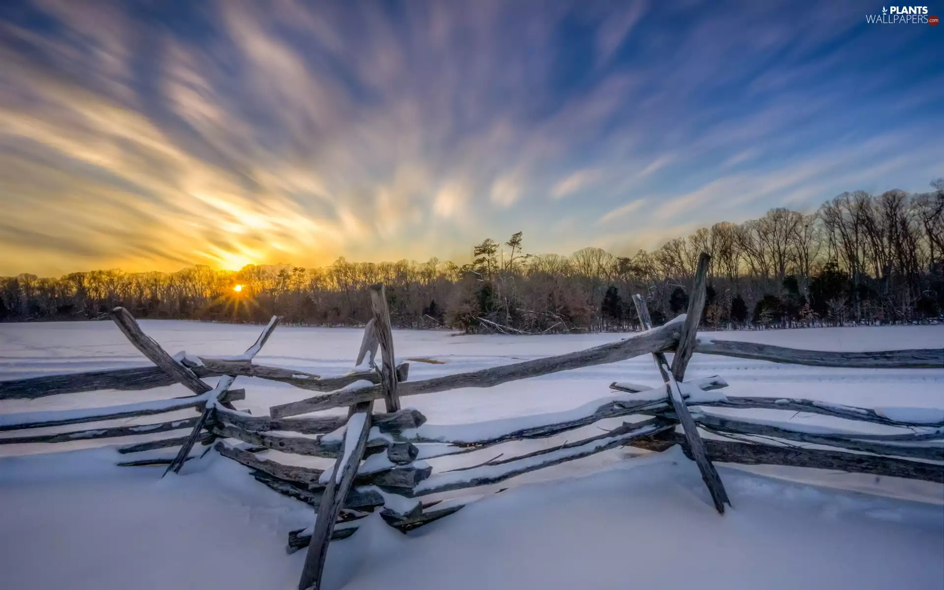 Great Sunsets, winter, viewes, fence, trees, snow