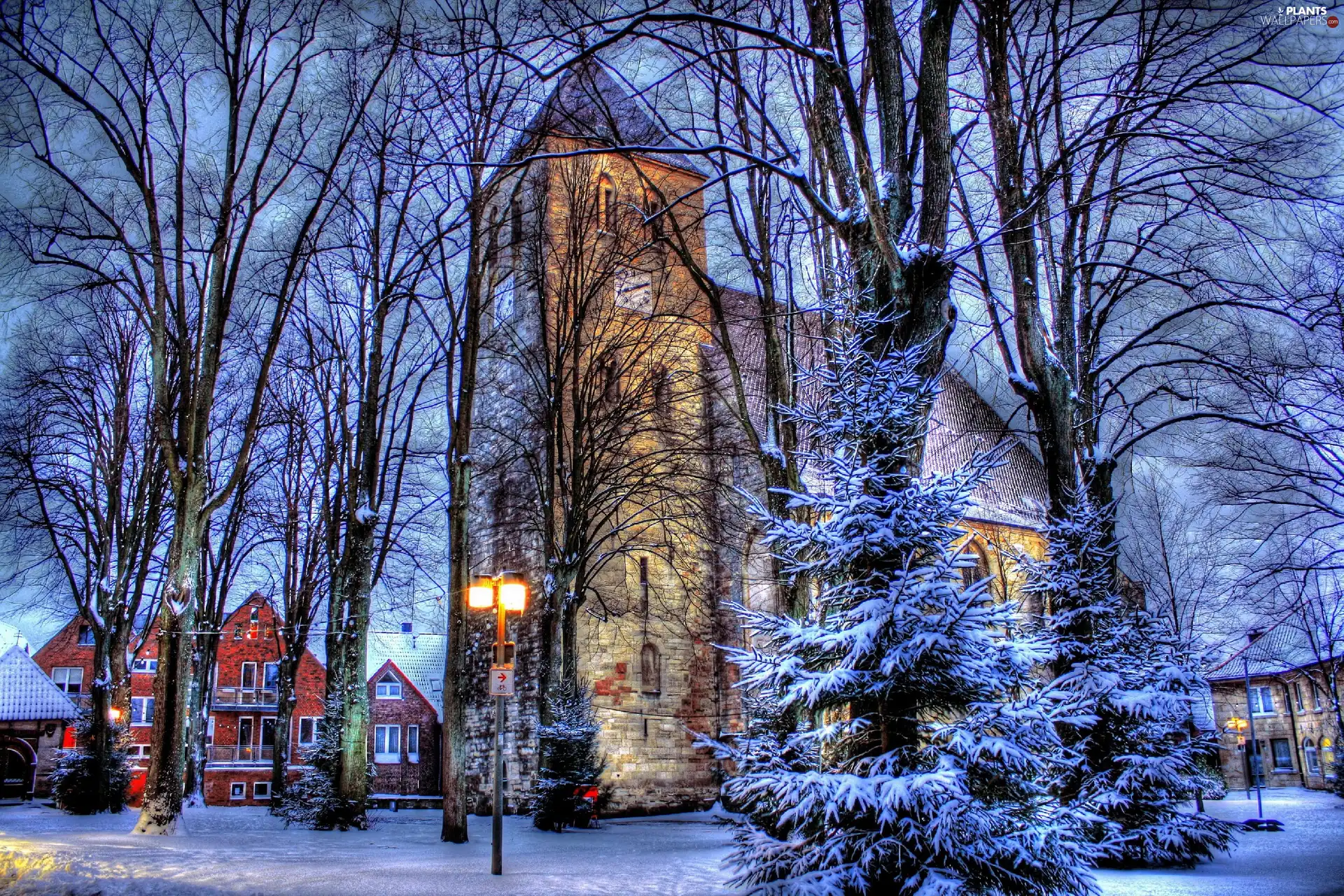 winter, trees, viewes, Church