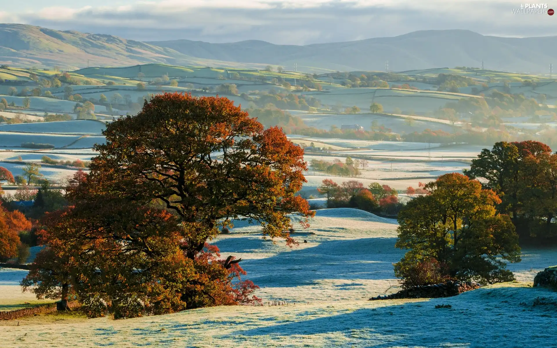 Mountains, Farms, viewes, winter, trees, field