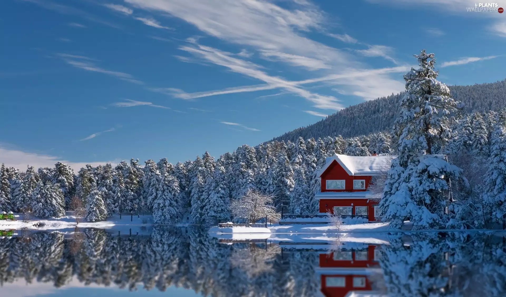 Home, lake, trees, viewes, Snowy, winter