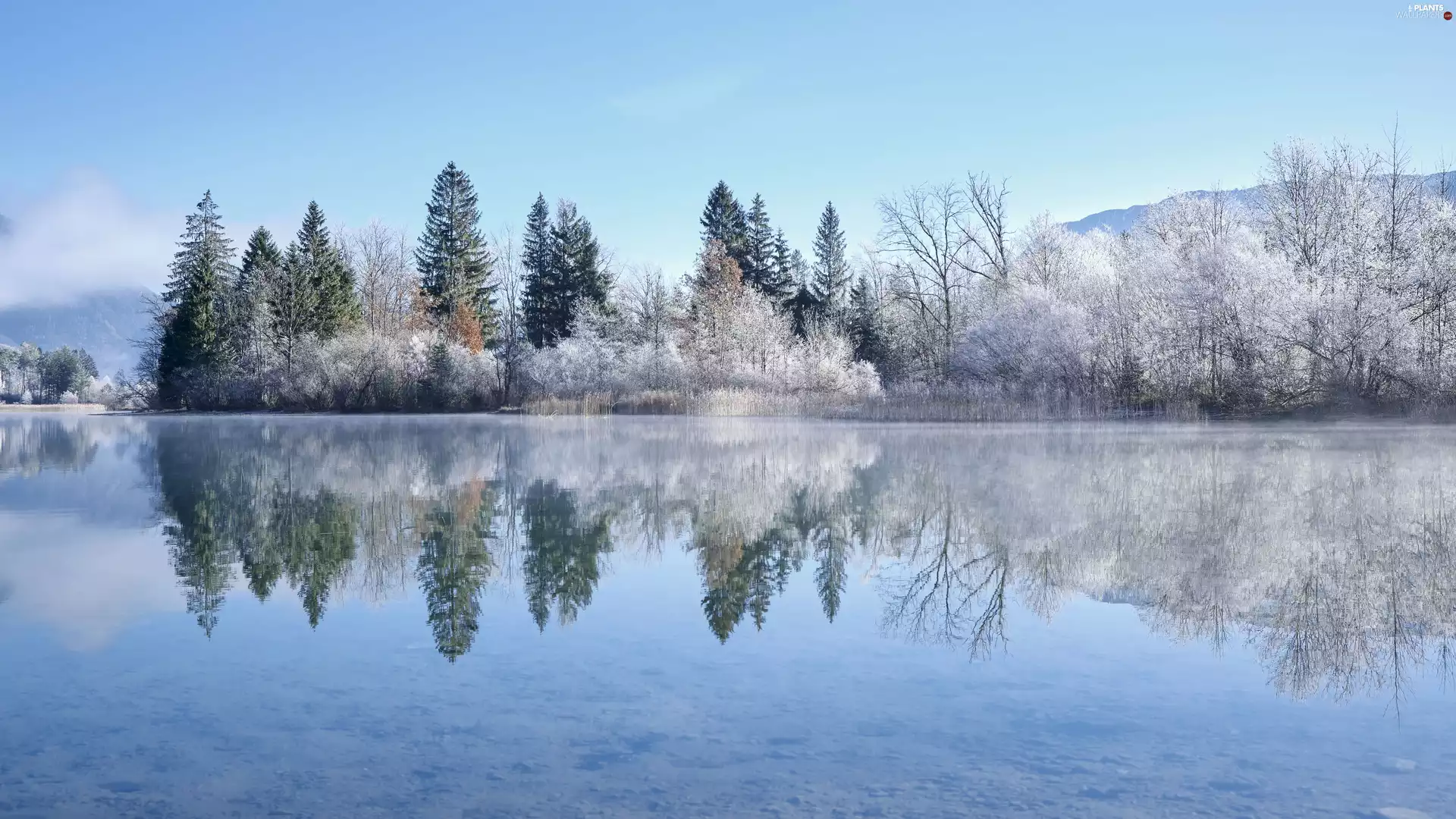 snow, trees, winter, viewes, lake, reflection, Mountains