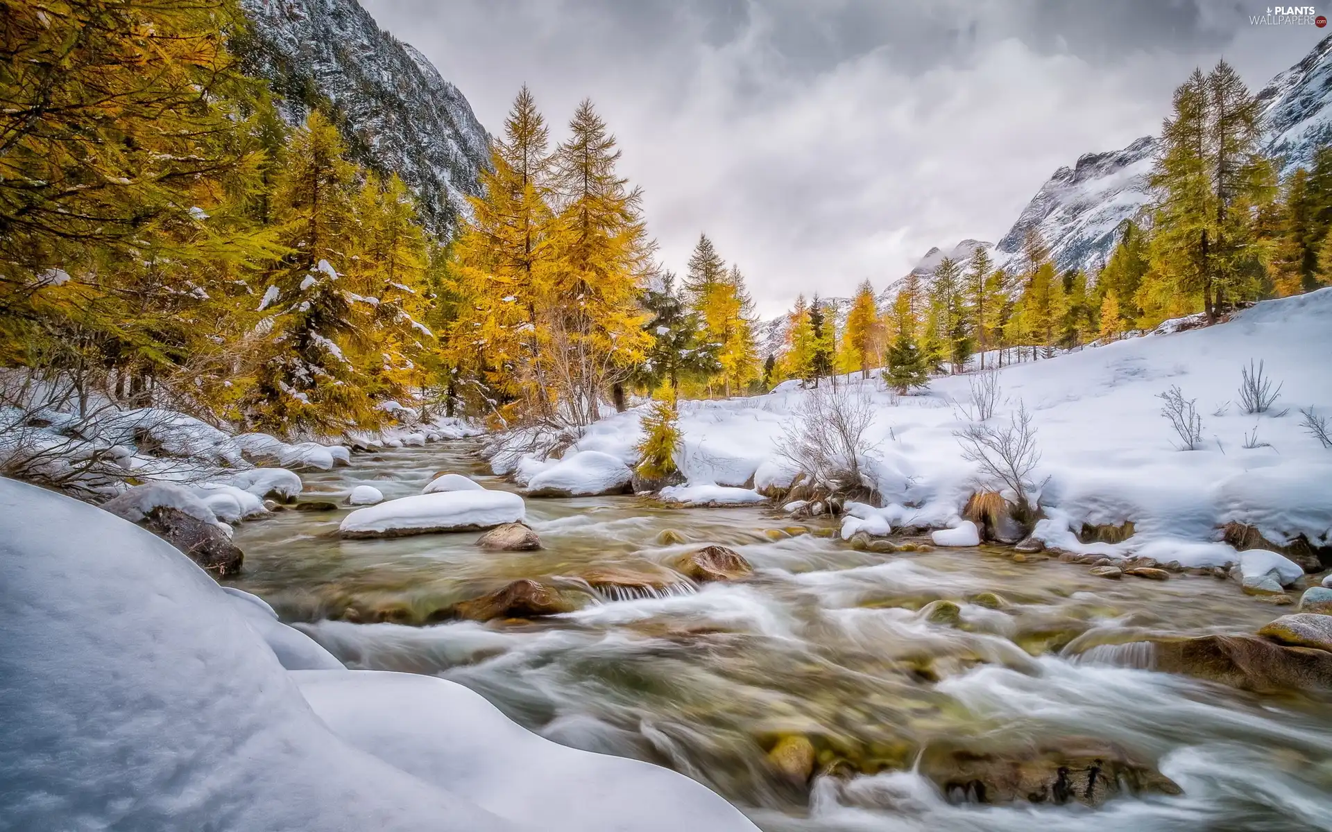 Mountains, stream, viewes, winter, trees, Stones