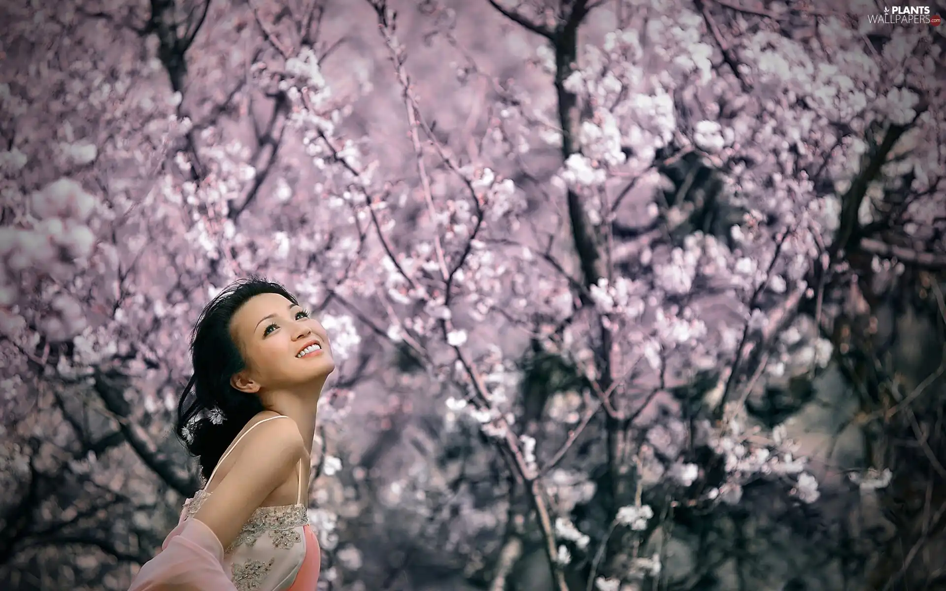 Women, trees, viewes, brunette