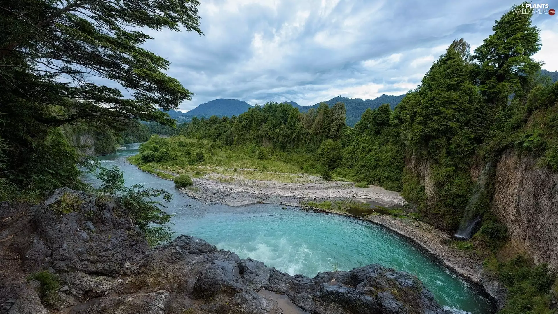 trees, viewes, Wooded, rocks, River