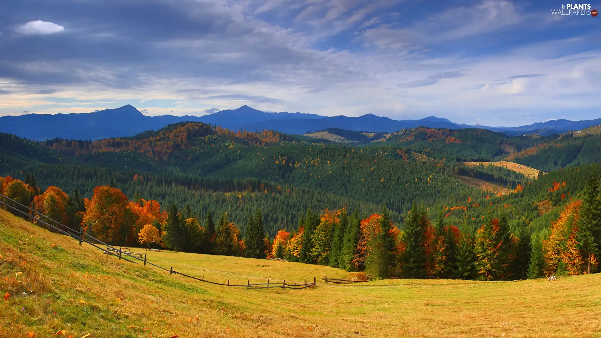 autumn, Mountains, trees, viewes, medows, woods