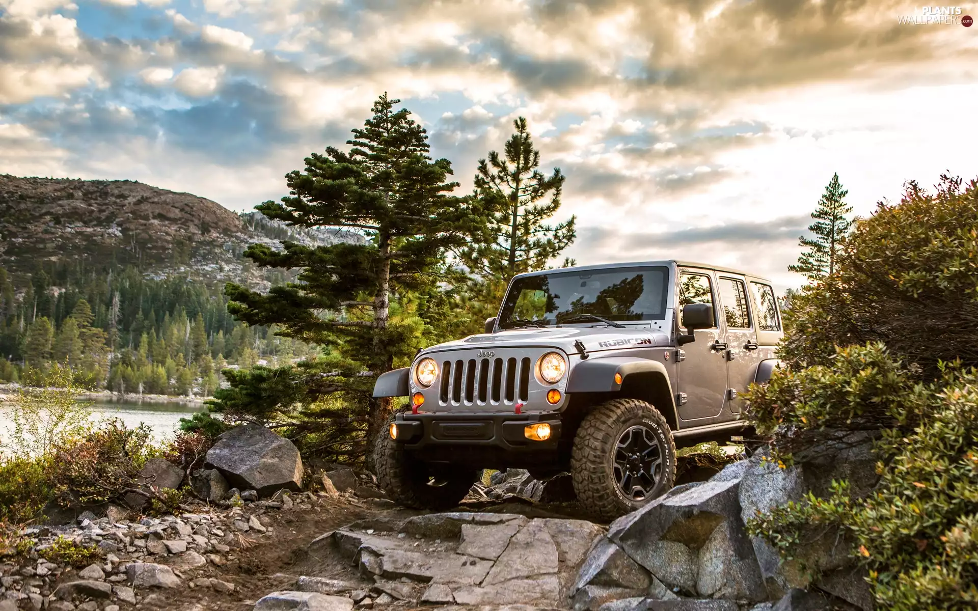 trees, viewes, Wrangler, Stones, jeep