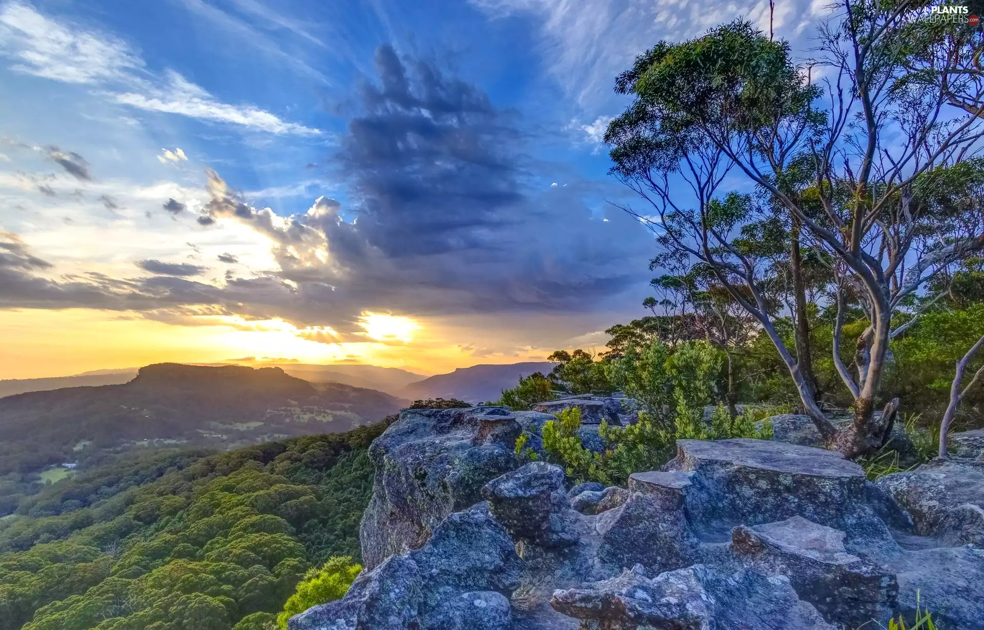 Viewpoint, Drawing Room Rocks, rocks, Mountains, viewes, Berry, Australia, trees