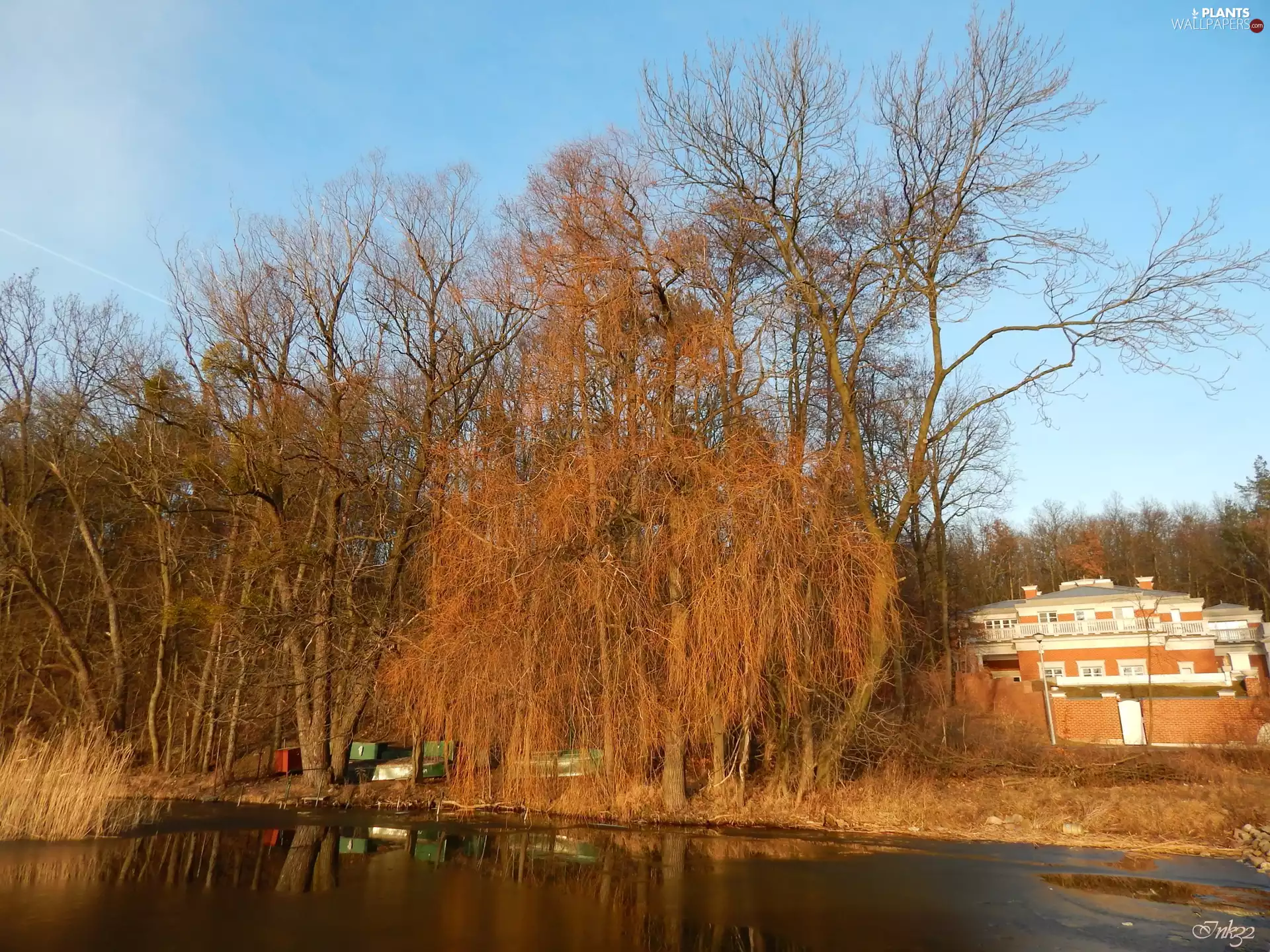 coast, lake, viewes, villa, trees, Icecream
