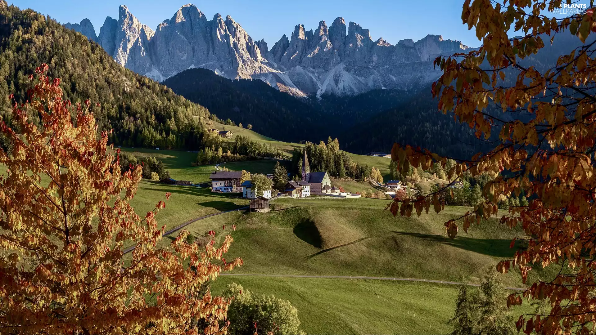 trees, Dolomites, Church, autumn, Houses, Mountains, Village of Santa Maddalena, Italy, viewes, Val di Funes Valley