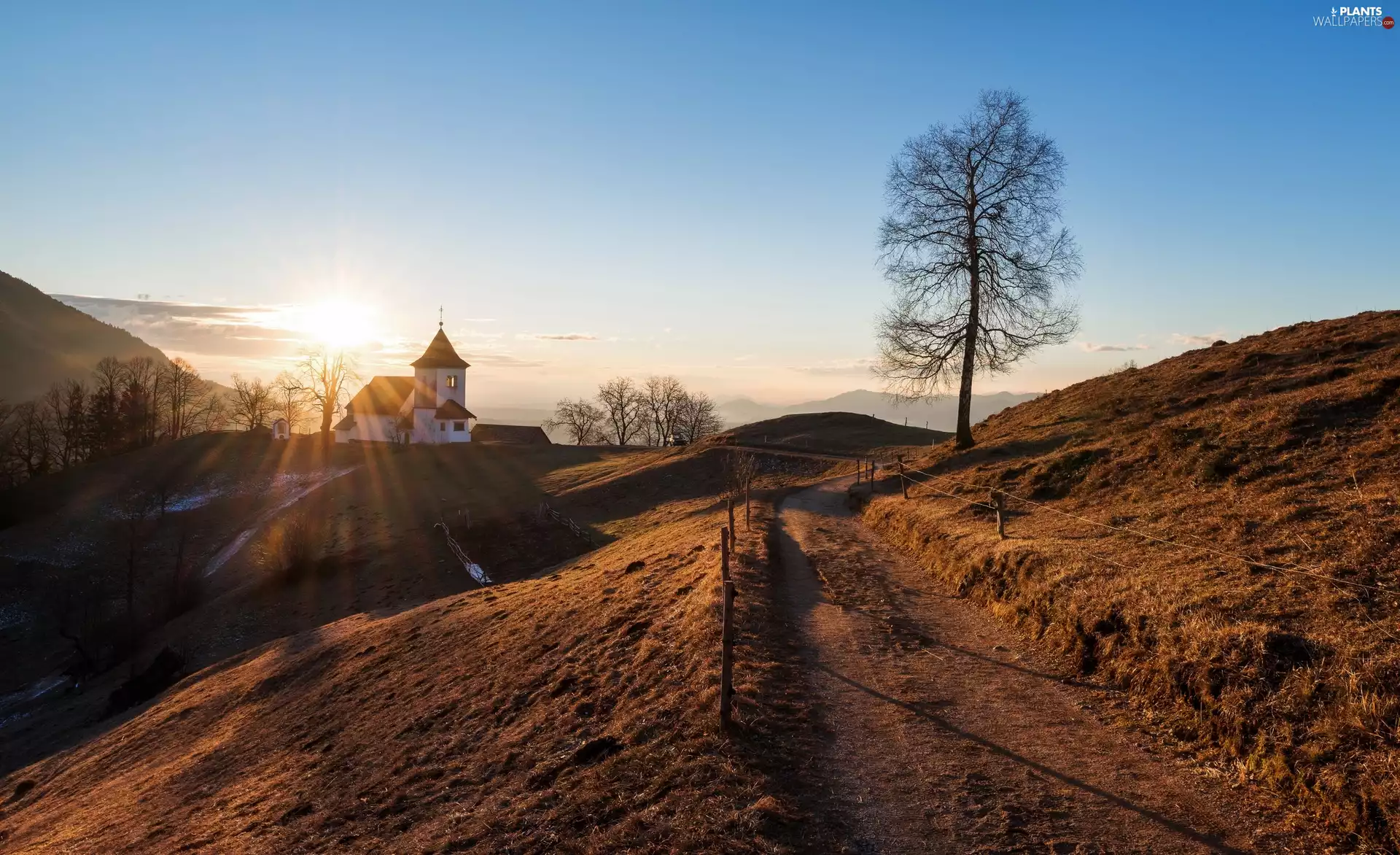 Sunrise, Hill, viewes, Church of St. Peter, trees, Village Begunje on Gorenjsk, Slovenia, Way