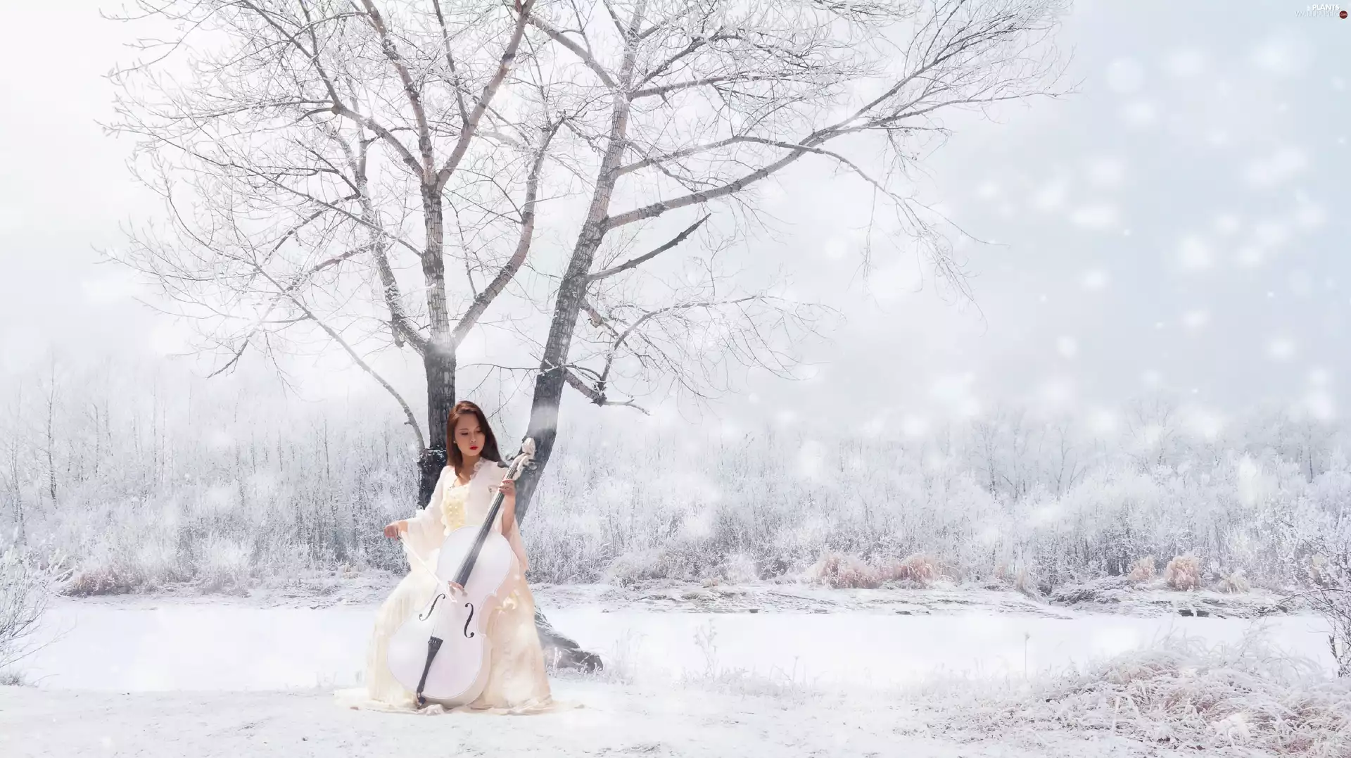 forest, winter, girl, violoncello, trees, snow