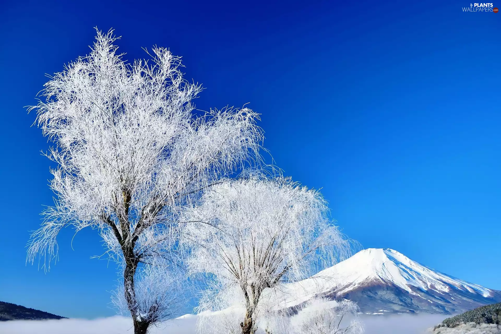 volcano, mountains, Fuji