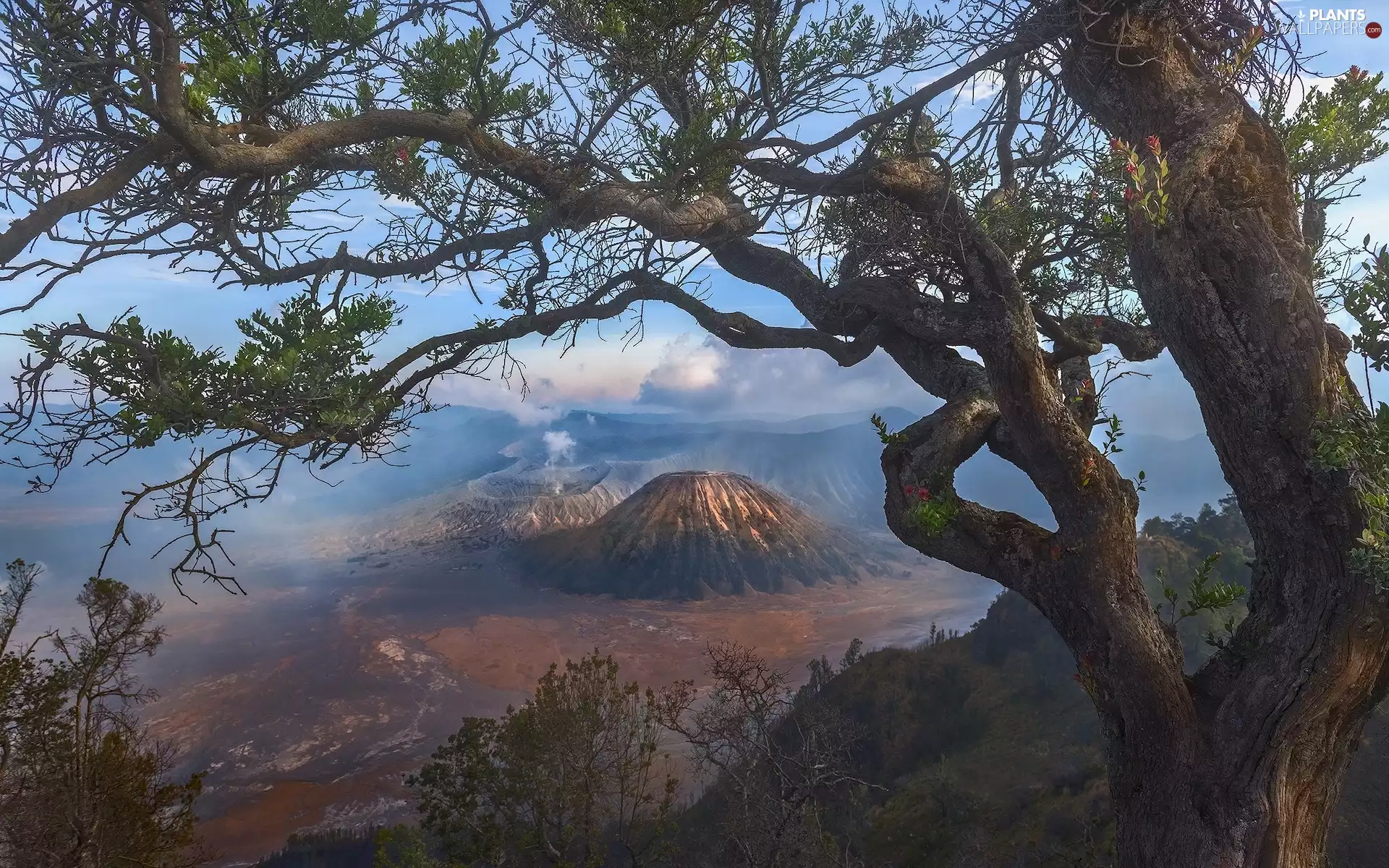 Mountains, Fog, trees, volcano