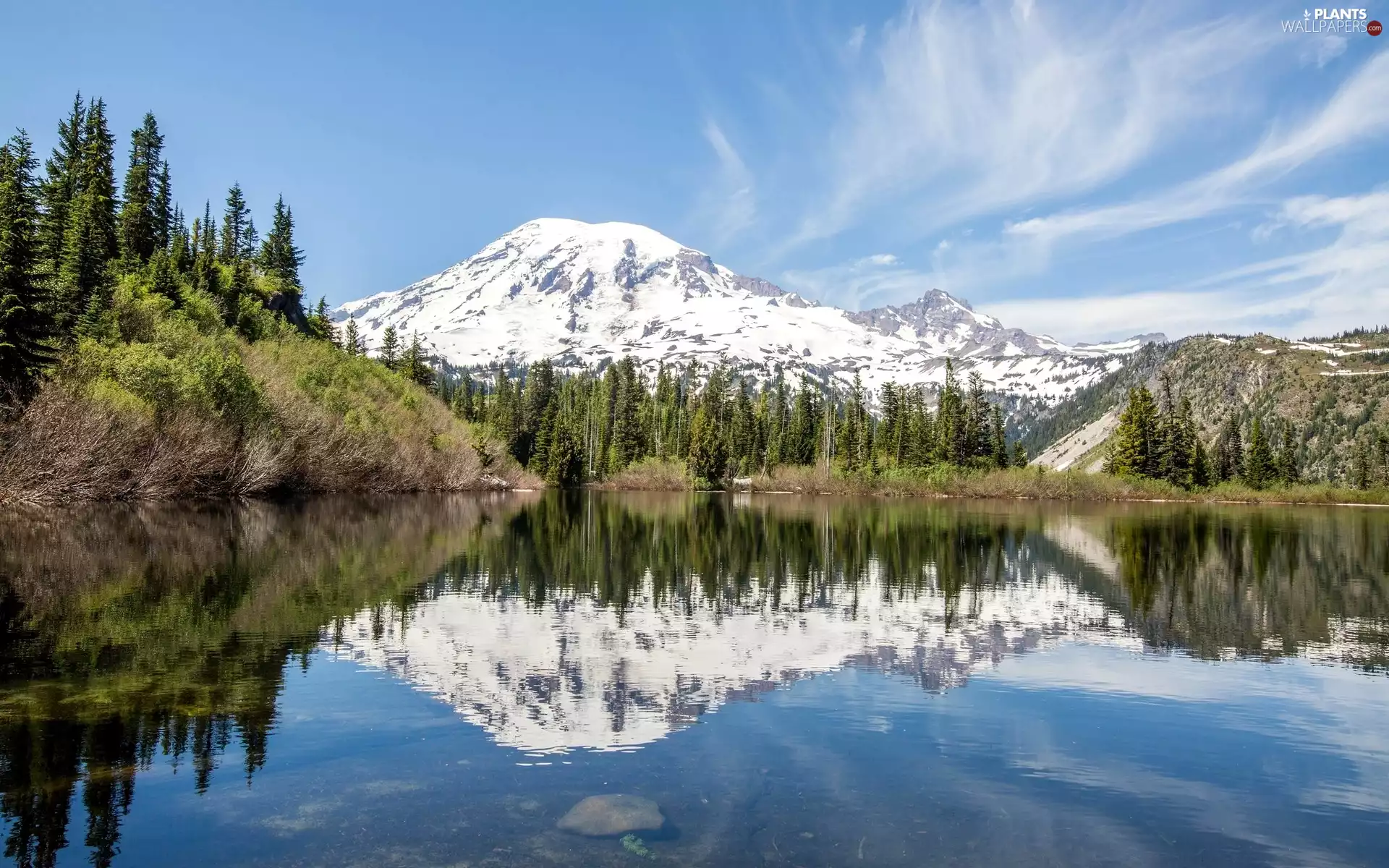 Mountains, Stratovolcano Mount Rainier, reflection, trees, Bench Lake, Washington State, The United States, viewes