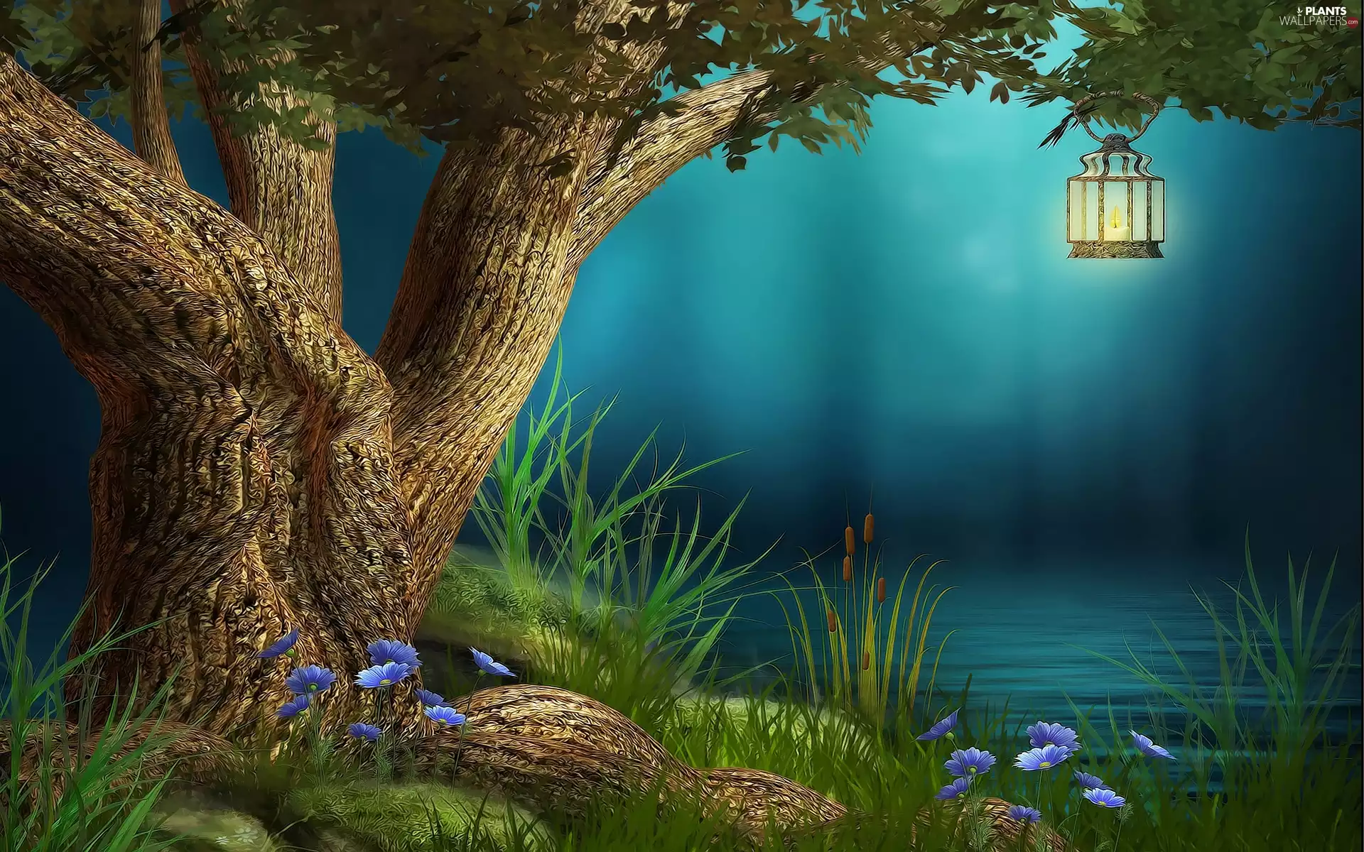 forest, water, 2D Graphics, lantern