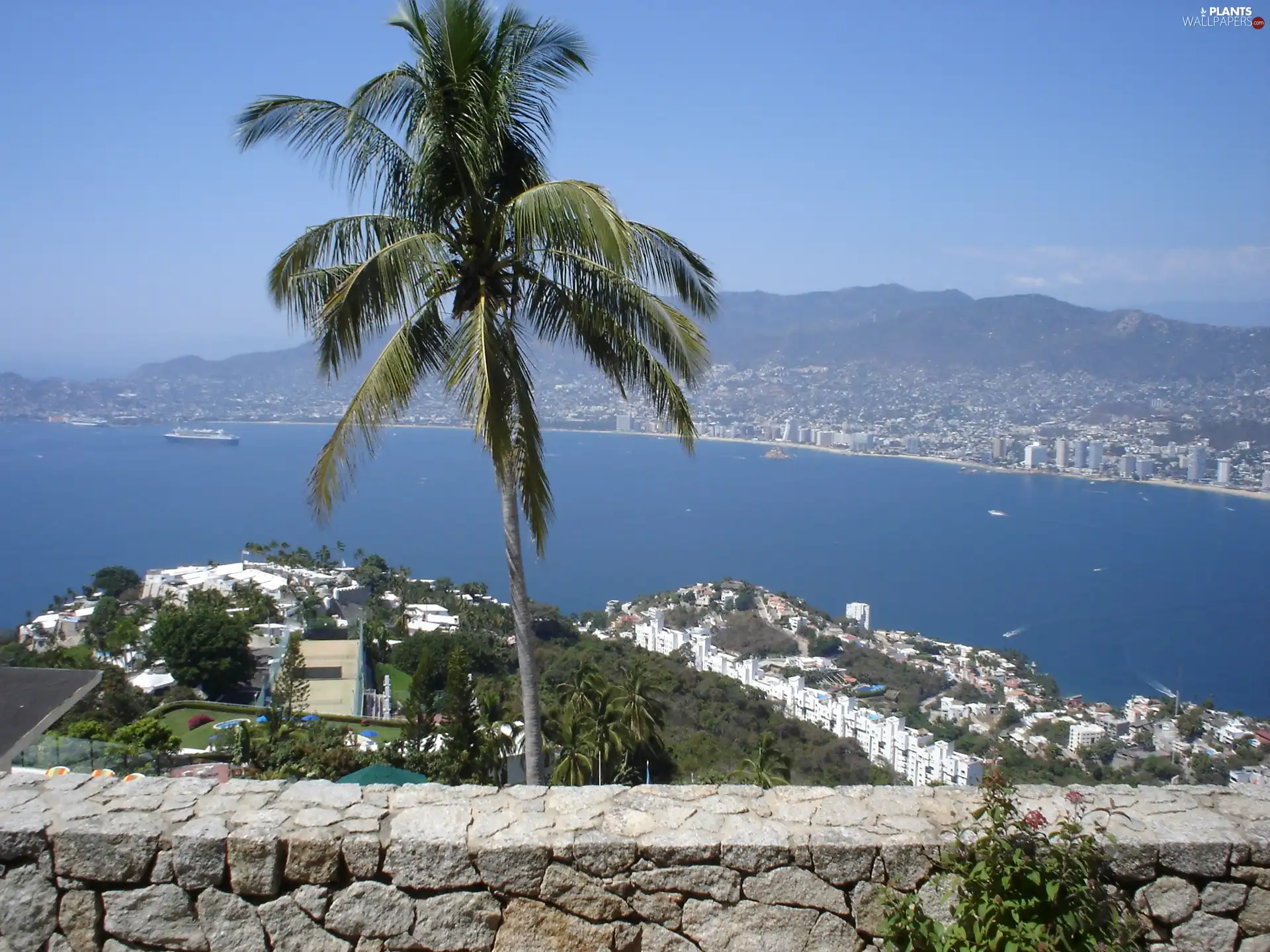 Acapulco, Palm, water, Mexico