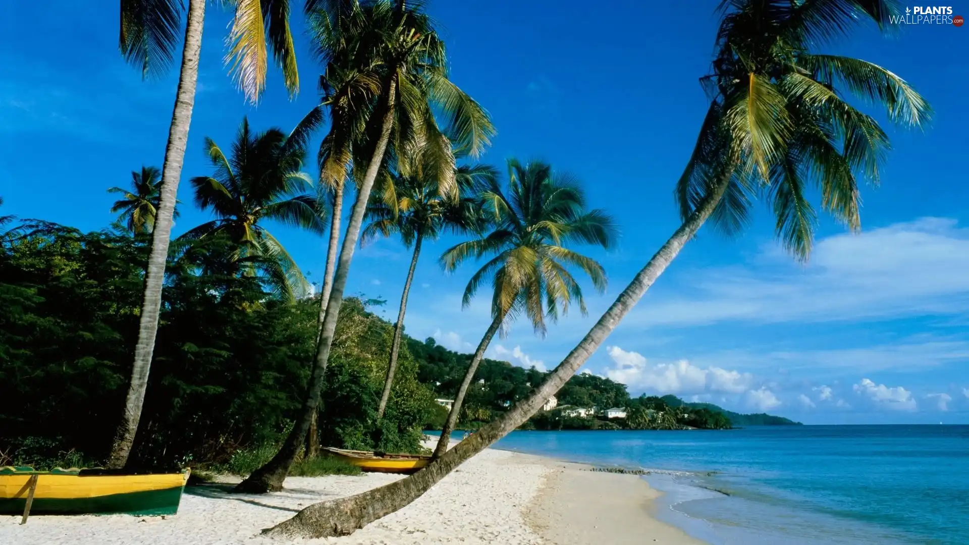 Palms, Grenada, water, Sky, Boat, Sand