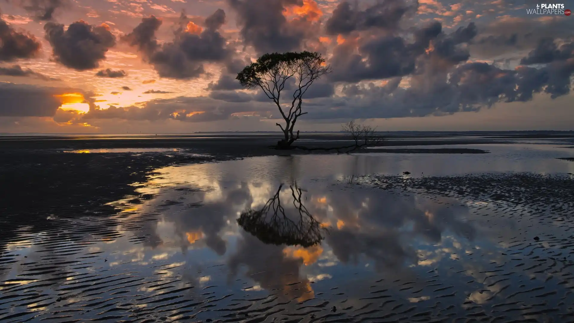 water, trees, west, sun, clouds