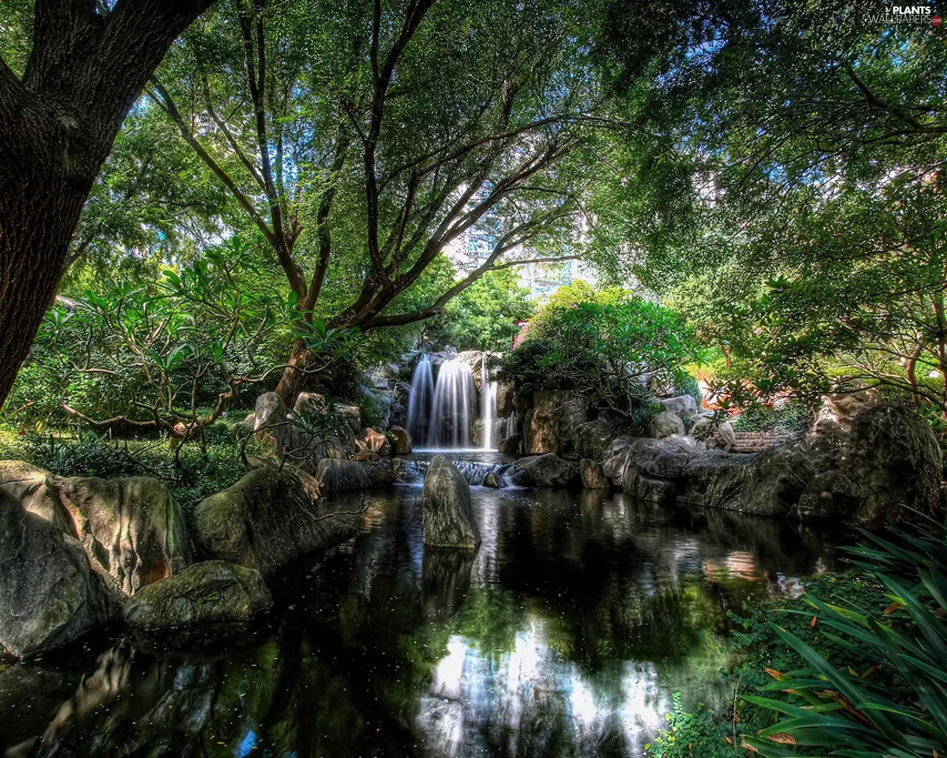 waterfall, trees, viewes, water