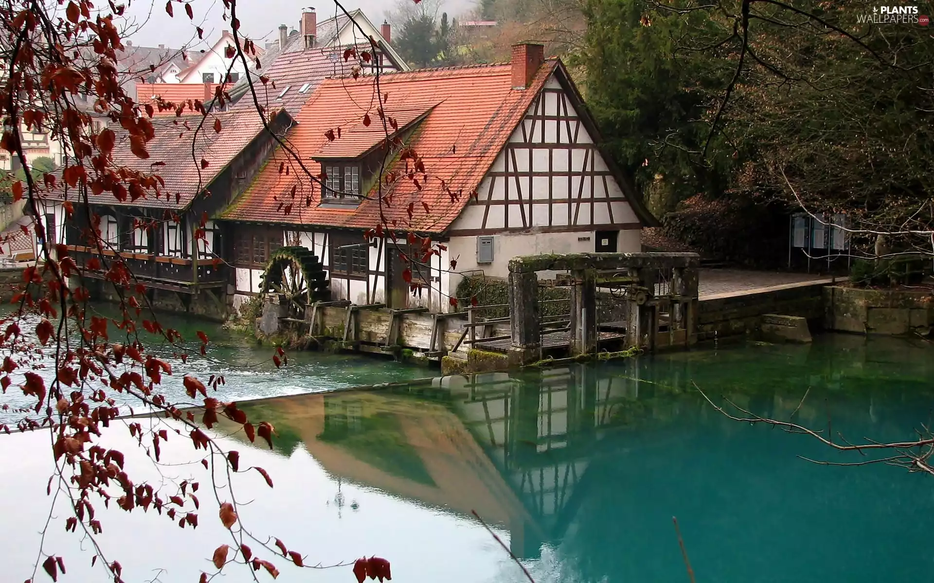 water, River, Windmill