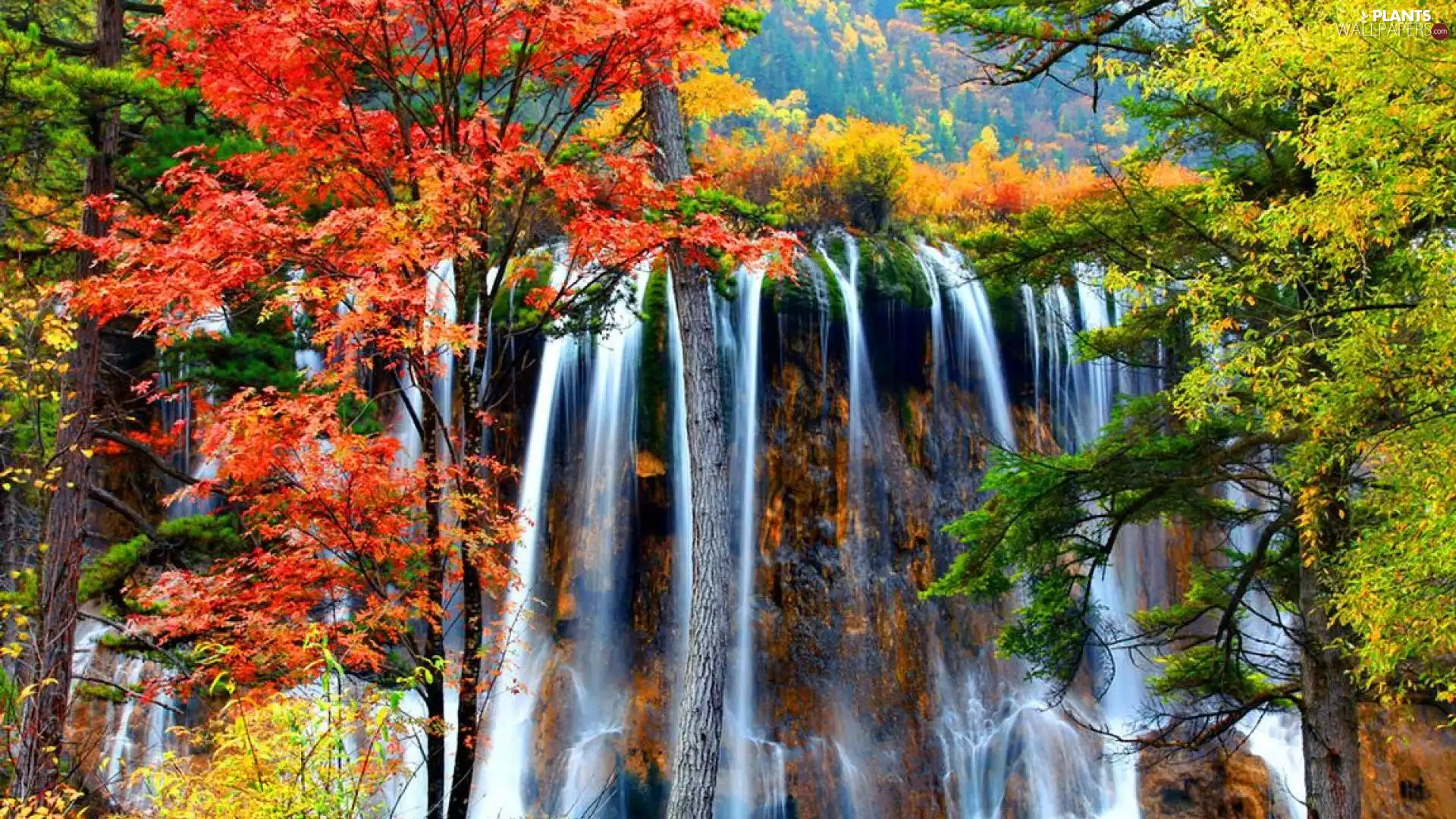 autumn, trees, viewes, waterfall