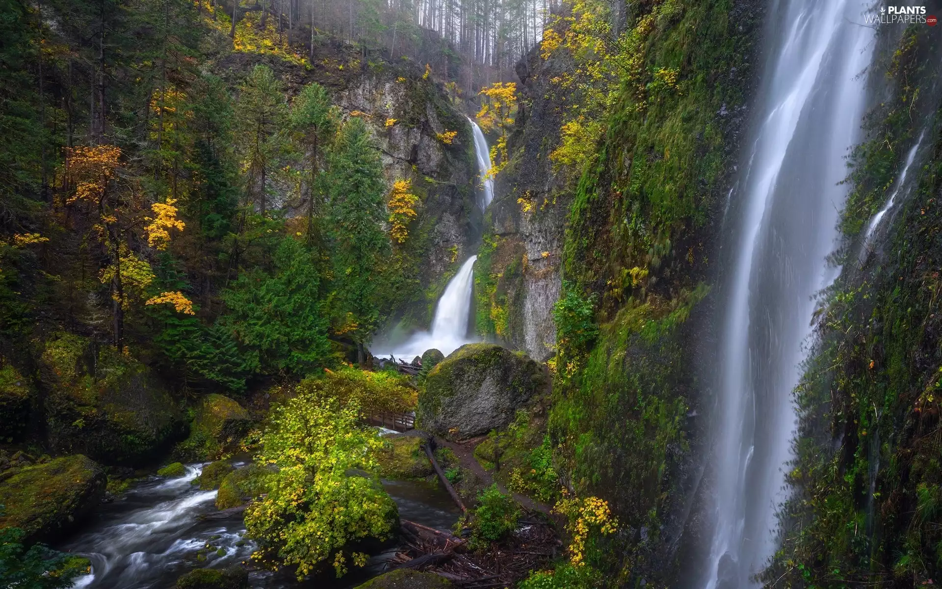 viewes, waterfall, forest, trees, rocks