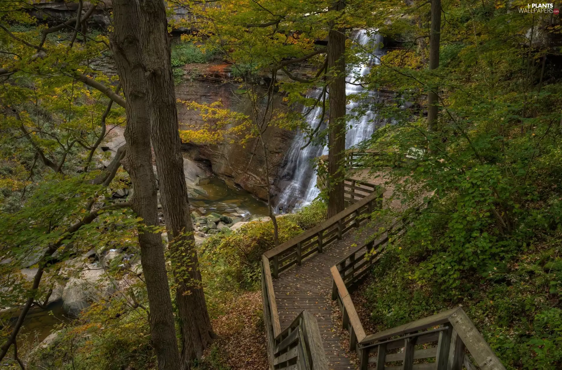 forest, trail, touristic, waterfall